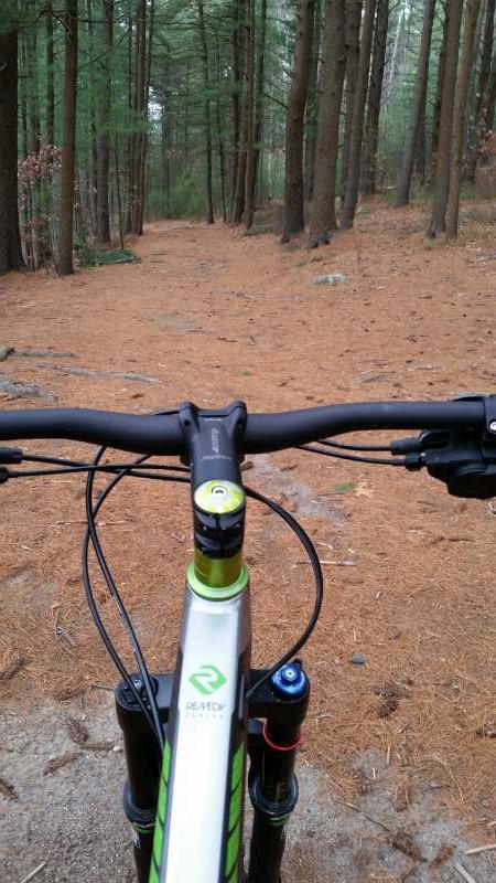 A view from the handlebars of a mountain bike on a dirt trail surrounded by tall pine trees. The ground is covered with a layer of pine needles, and the path leads deeper into the forest. Russell Mill mountain bike trail.