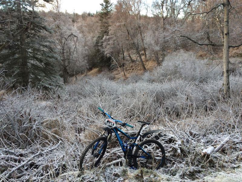 A mountain bike leaning against a patch of frosted underbrush in a winter landscape. The scene is surrounded by barren trees and rolling hills, with a light dusting of frost covering the ground and vegetation. Kincaid Park mountain bike trail.
