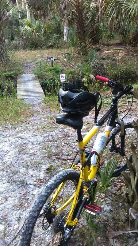 A yellow mountain bike with a black helmet resting on it, positioned beside a narrow wooden bridge in a lush, green forested area. The scene features the bike in the foreground with a trail leading into the woods, surrounded by palm trees and undergrowth. A trail sign is visible in the background. Grassy Island Trail mountain bike trail.