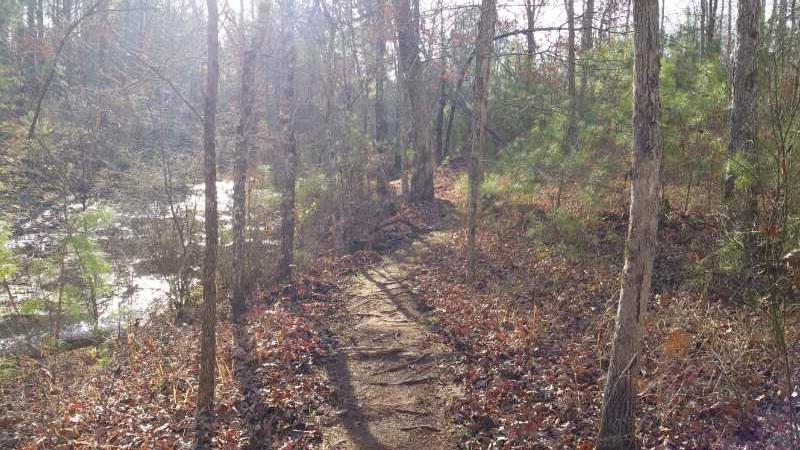 A narrow dirt path winding through a wooded area, lined with trees and underbrush, beside a gently flowing stream. Sunlight filters through the branches, creating a serene and tranquil atmosphere. Fallen leaves cover the ground, indicating the changing seasons. Hard Labor Creek State Park mountain bike trail.