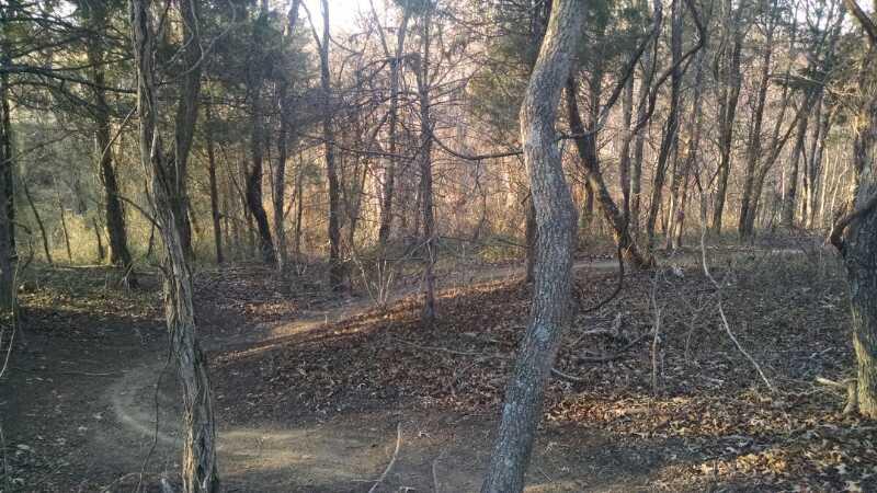A dense forest scene featuring tall trees with sparse leaves, sunlight filtering through the branches, and a winding dirt path visible in the foreground surrounded by fallen leaves and underbrush. Sherando Park Mountain Bike Trails mountain bike trail.