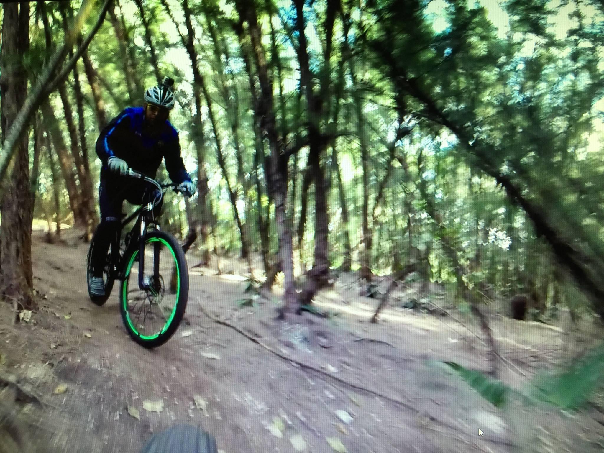 A mountain biker riding along a dirt trail in a wooded area, surrounded by tall trees and greenery. The cyclist is wearing a helmet and blue attire, and the bike features green accents on the wheels. The scene conveys a sense of adventure and outdoor activity. Oleta River State Park mountain bike trail.
