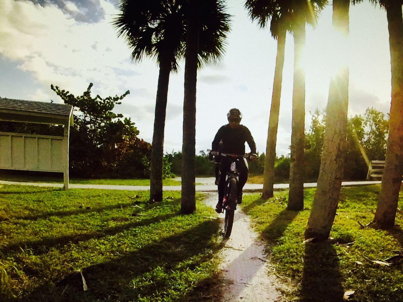 A person riding a mountain bike on a dirt path surrounded by palm trees in a sunny outdoor setting. The sun is low in the sky, casting long shadows on the ground. A shelter and lush greenery can be seen in the background.