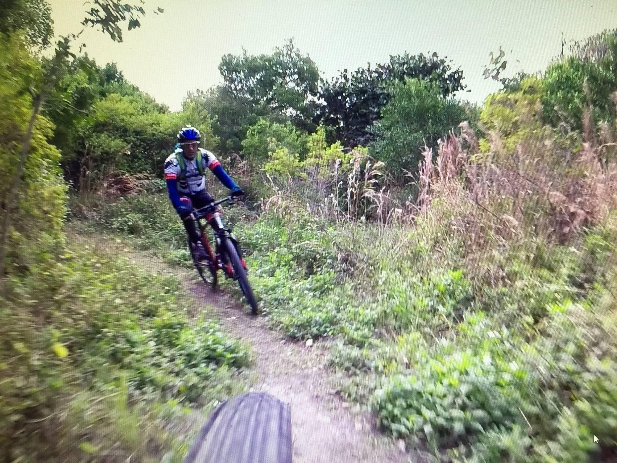 A mountain biker navigating a winding trail through lush greenery, with tall grasses and trees lining the path. The cyclist is wearing a helmet and bright cycling gear, demonstrating an action shot as they skillfully maneuver the bike. Oleta River State Park mountain bike trail.