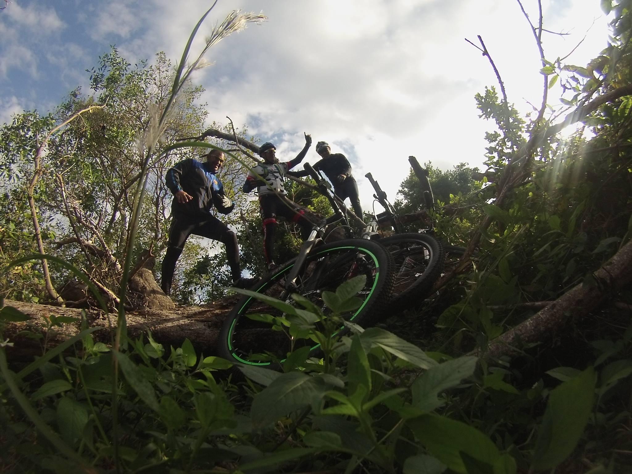 Three mountain bikers navigating through a wooded area, surrounded by fallen trees and lush greenery. The sky is partly cloudy, and the sun is peeking through the leaves. One cyclist is jumping over a fallen log while the others are in dynamic poses, ready to ride. Bicycles are visible on the ground, adding to the adventurous scene.