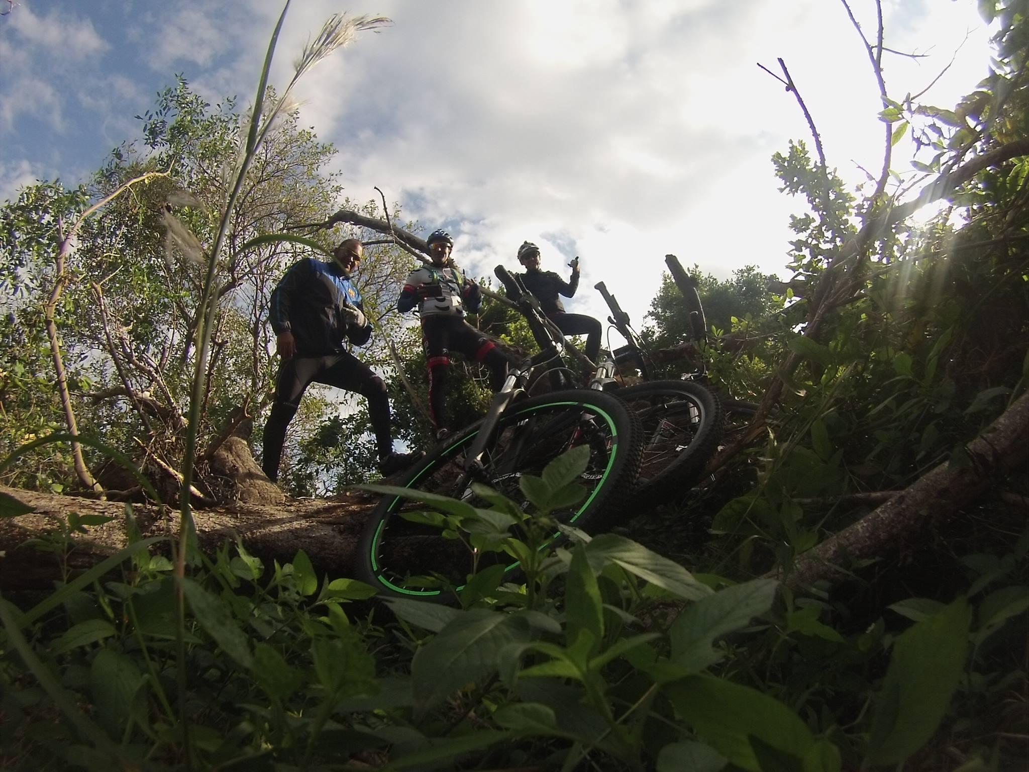 Three mountain bikers stand on a fallen log in a wooded area, surrounded by greenery. They are wearing cycling gear and helmets, with their bicycles visible nearby. The sky above is partly cloudy, and the scene captures a sense of adventure and exploration in nature.