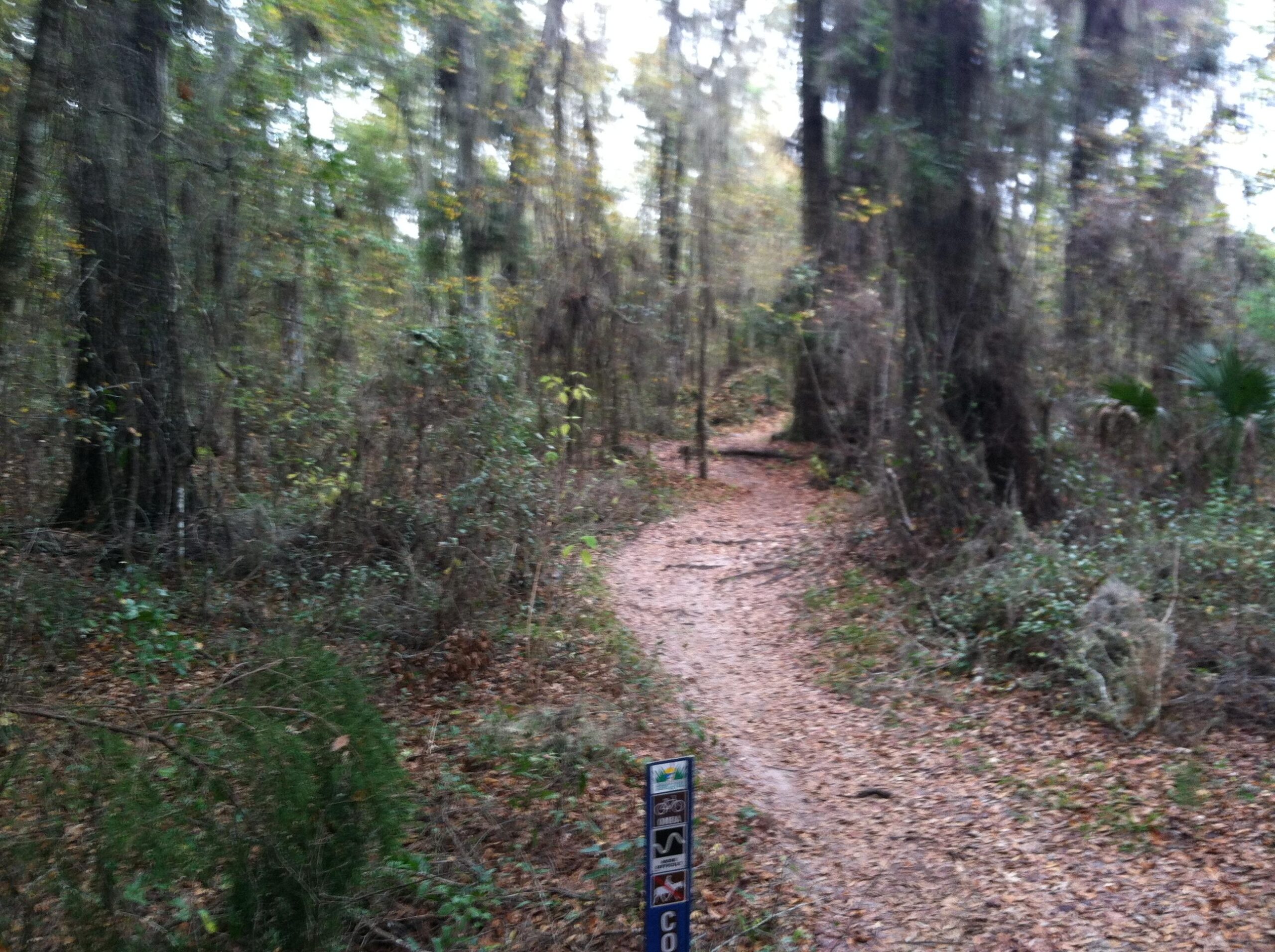A narrow dirt trail winding through a woods, surrounded by tall trees and underbrush. A signpost on the left indicates trail information. The scene captures a tranquil, natural setting in a forested area. Cow Bone mountain bike trail.