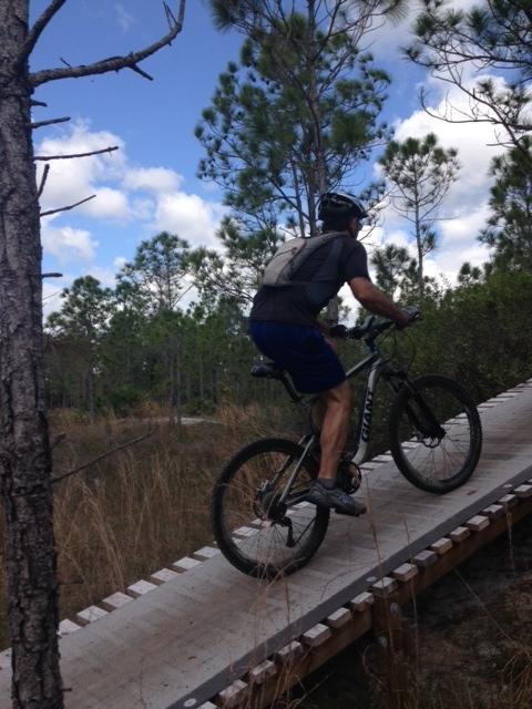 A person riding a mountain bike on a wooden trail elevated above the ground, surrounded by pine trees and grass in a natural landscape under a blue sky with clouds. Halpatiokee mountain bike trail.