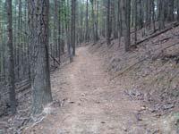 A dirt trail winding through a dense forest of tall trees, with fallen leaves and branches along the path. Shenandoah River Raymond R. "Andy" Guest, Jr. State Park mountain bike trail.
