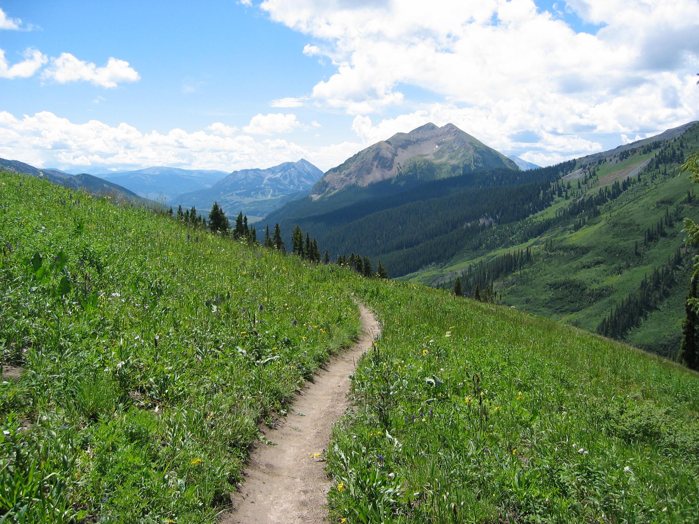 A scenic mountain landscape featuring a winding dirt path surrounded by lush green grass and wildflowers. In the background, majestic mountains rise under a bright blue sky with scattered clouds. The view showcases a vibrant natural setting, inviting outdoor exploration. Trail 401 mountain bike trail.
