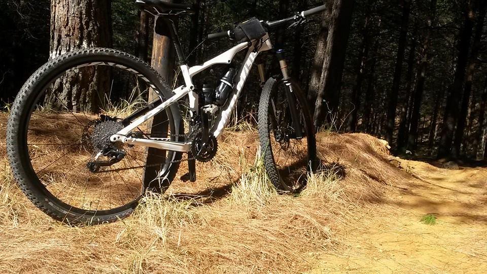 Specialized EPIC COMP CARBON: Mountain bike leaning against a wooden post on a forest trail, surrounded by pine needles and grass, with tall trees in the background. The bike features a sleek design with a white frame and rugged tires, indicating it's ready for outdoor adventures.