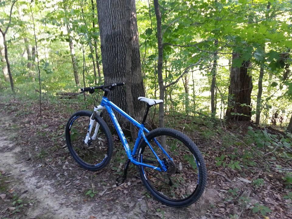 Trek Marlin: A blue and white mountain bike leaning against a tree in a wooded area, surrounded by green foliage and a dirt trail.
