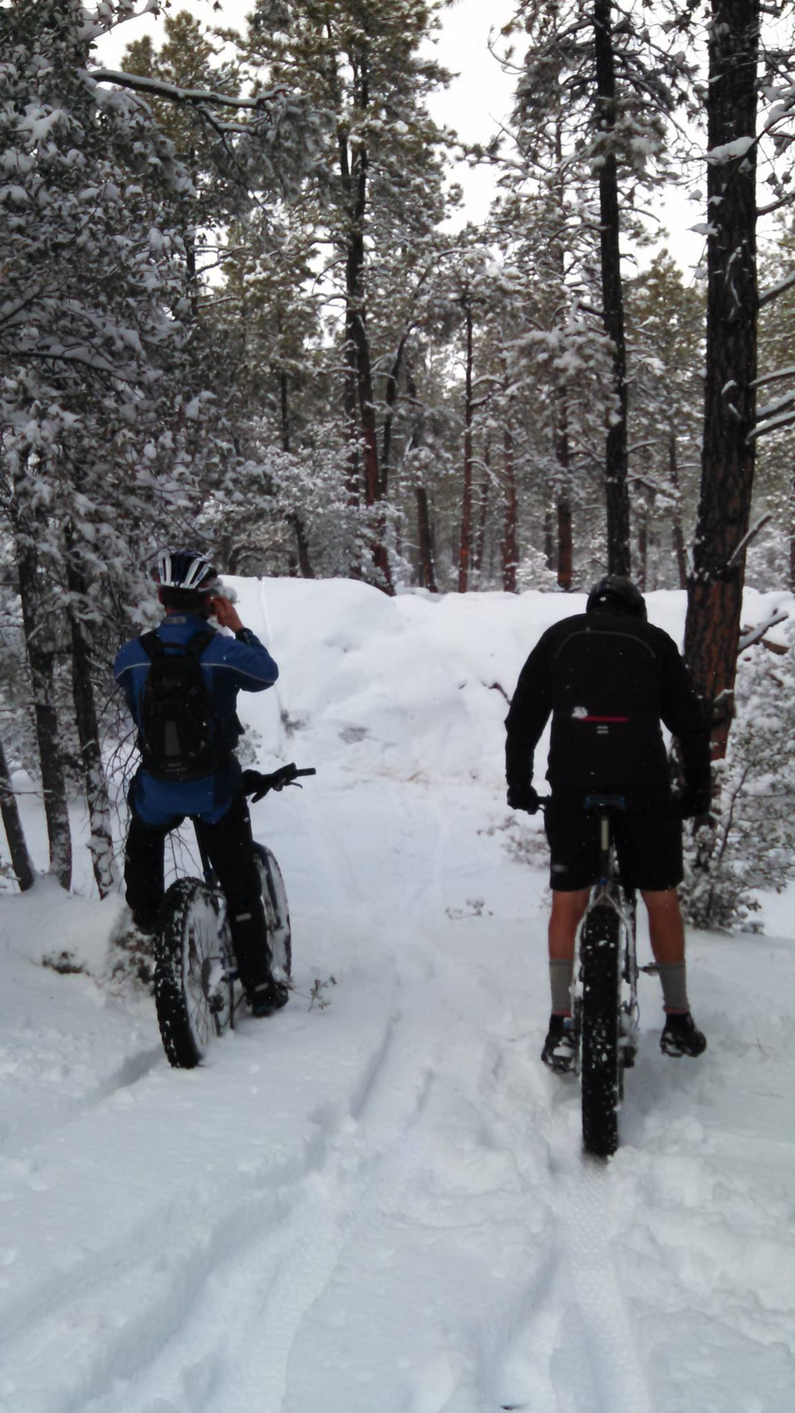 Two cyclists stand next to their fat bikes in a snow-covered forest. The ground is blanketed in fresh snow, and tall pine trees surround them. One cyclist is holding a phone to his ear, while the other is focused on the trail ahead. Snow clings to the tree branches, creating a wintery atmosphere. Emmanuel Pines Trail System mountain bike trail.