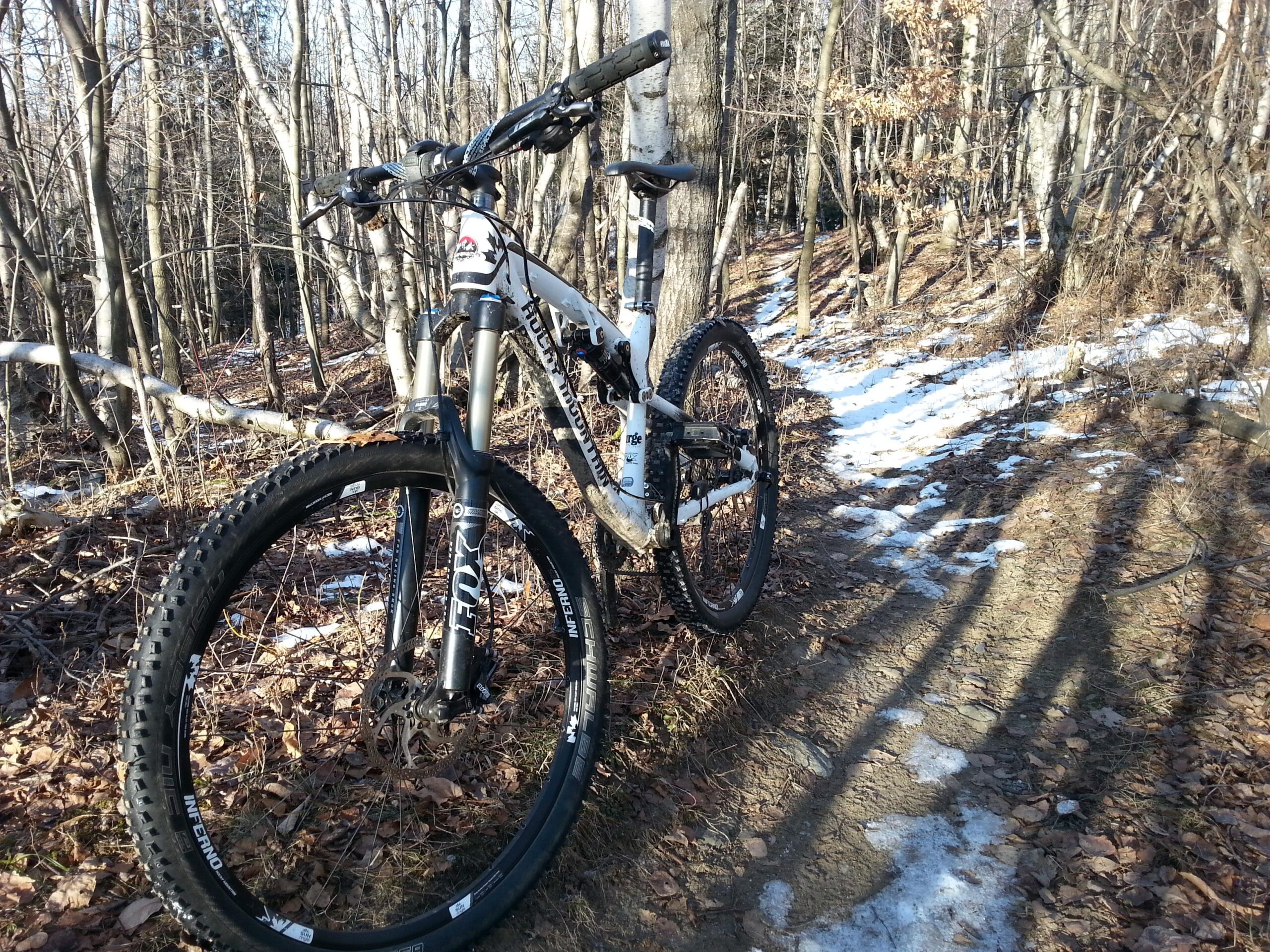 A mountain bike leaning against a tree on a forest trail during early spring. The ground is covered with fallen leaves and patches of snow, with tall trees in the background. Sunlight filters through the trees, creating dappled shadows on the path. Park De La Gorge de Coaticook mountain bike trail.