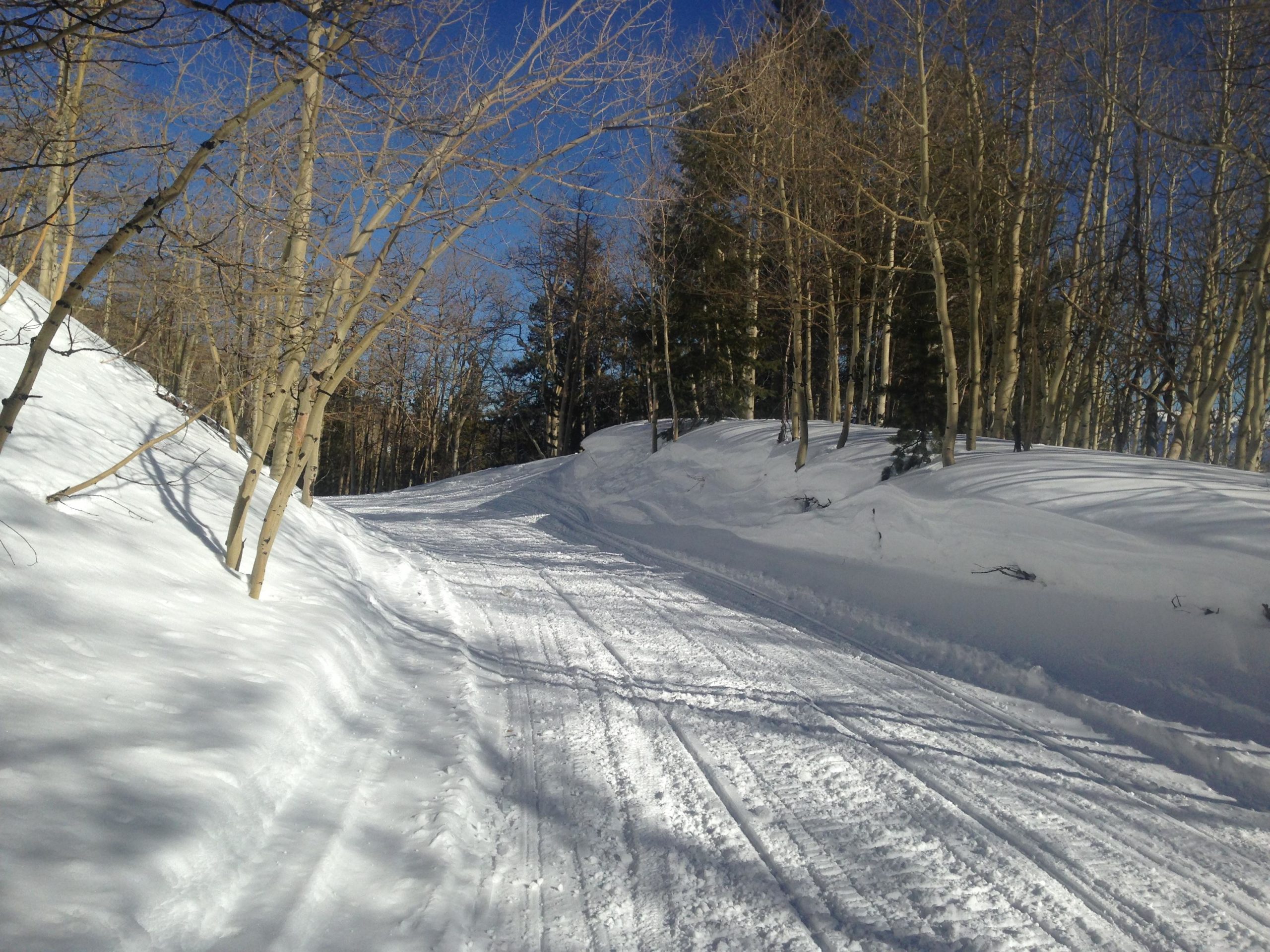A snow-covered path winding through a forest, flanked by bare trees on either side. The blue sky above contrasts with the bright white snow, and faint tire tracks are visible on the path, indicating recent activity. Marshall Pass Road / #200 / #203 / #243 mountain bike trail.
