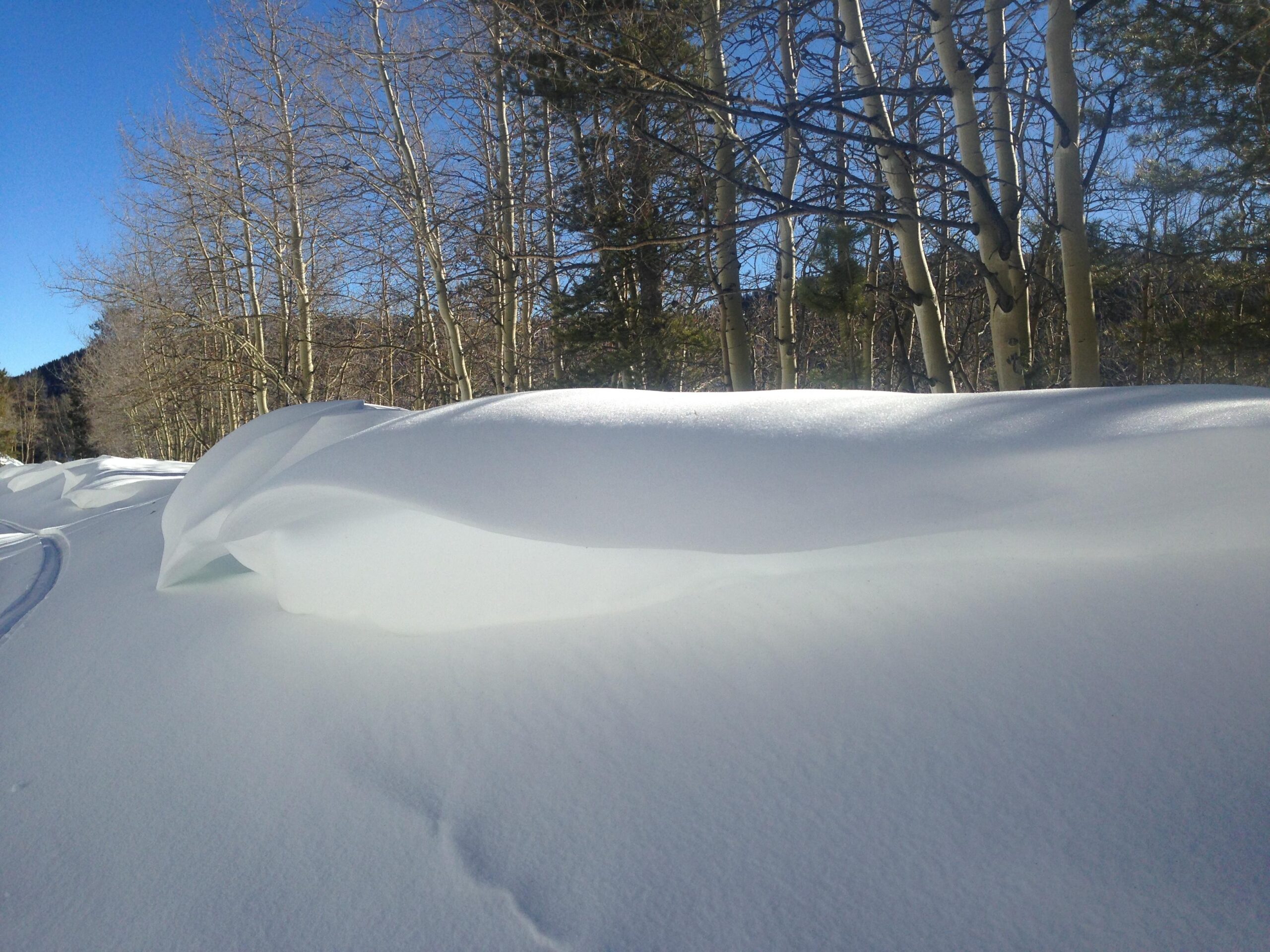 A snowy landscape featuring a smooth, undulating blanket of snow with crisp lines and soft curves, surrounded by bare trees and a clear blue sky. The scene captures the tranquility of winter. Marshall Pass Road / #200 / #203 / #243 mountain bike trail.