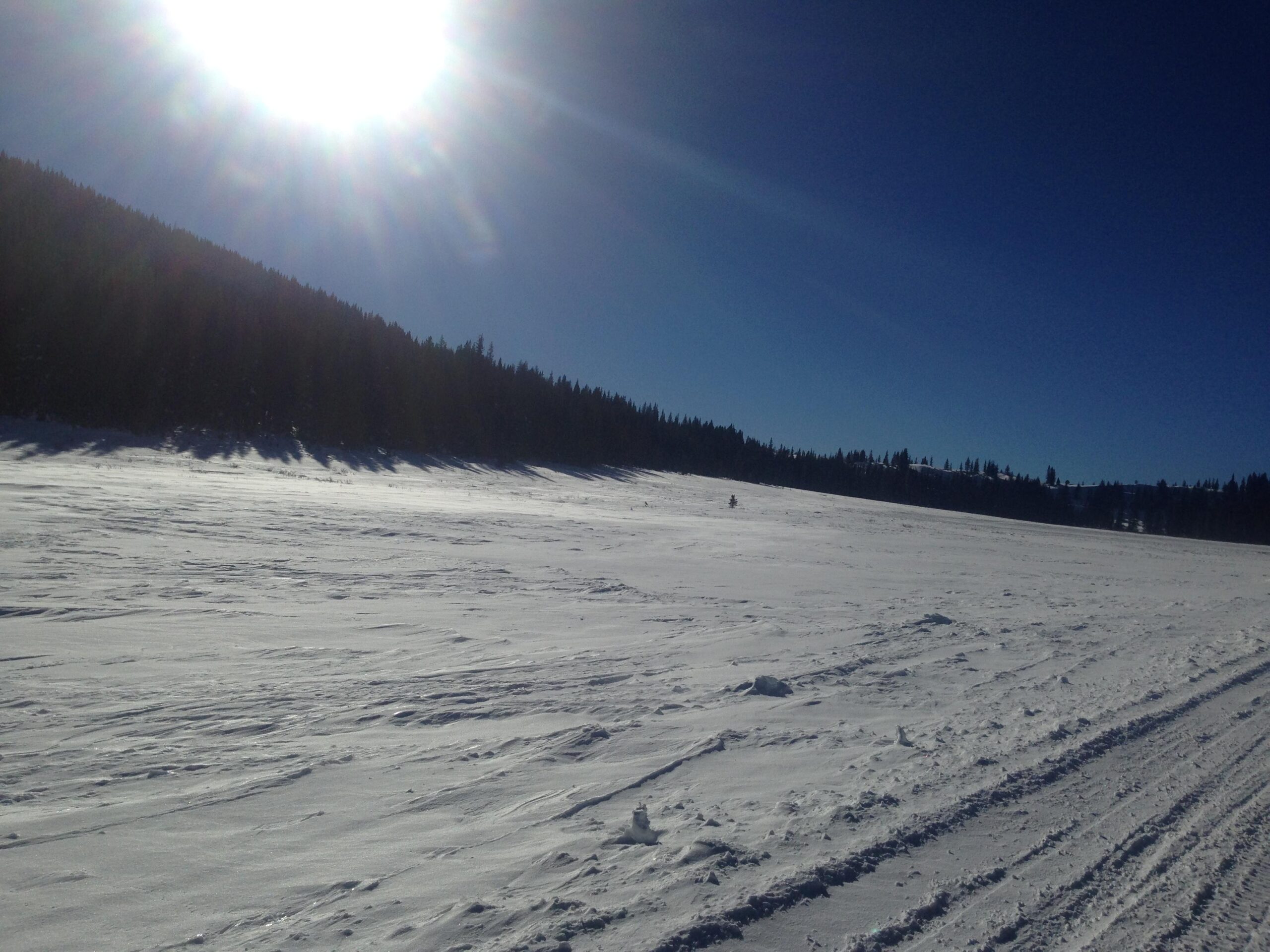 A vast snowy landscape under a clear blue sky, with the sun shining brightly in the upper left corner. Shadows of pine trees line the edge of the snowy field, creating a serene winter scene. Marshall Pass Road / #200 / #203 / #243 mountain bike trail.