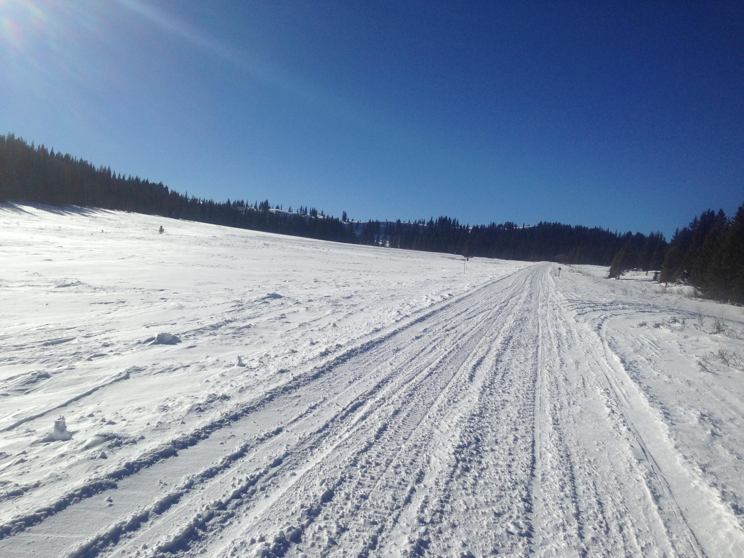 A snowy landscape with a wide path cutting through the pristine white snow. The sky is clear and blue, with the sun shining brightly. In the background, there are snow-covered hills and a dense line of evergreen trees. The scene conveys a serene winter atmosphere. Marshall Pass Road / #200 / #203 / #243 mountain bike trail.