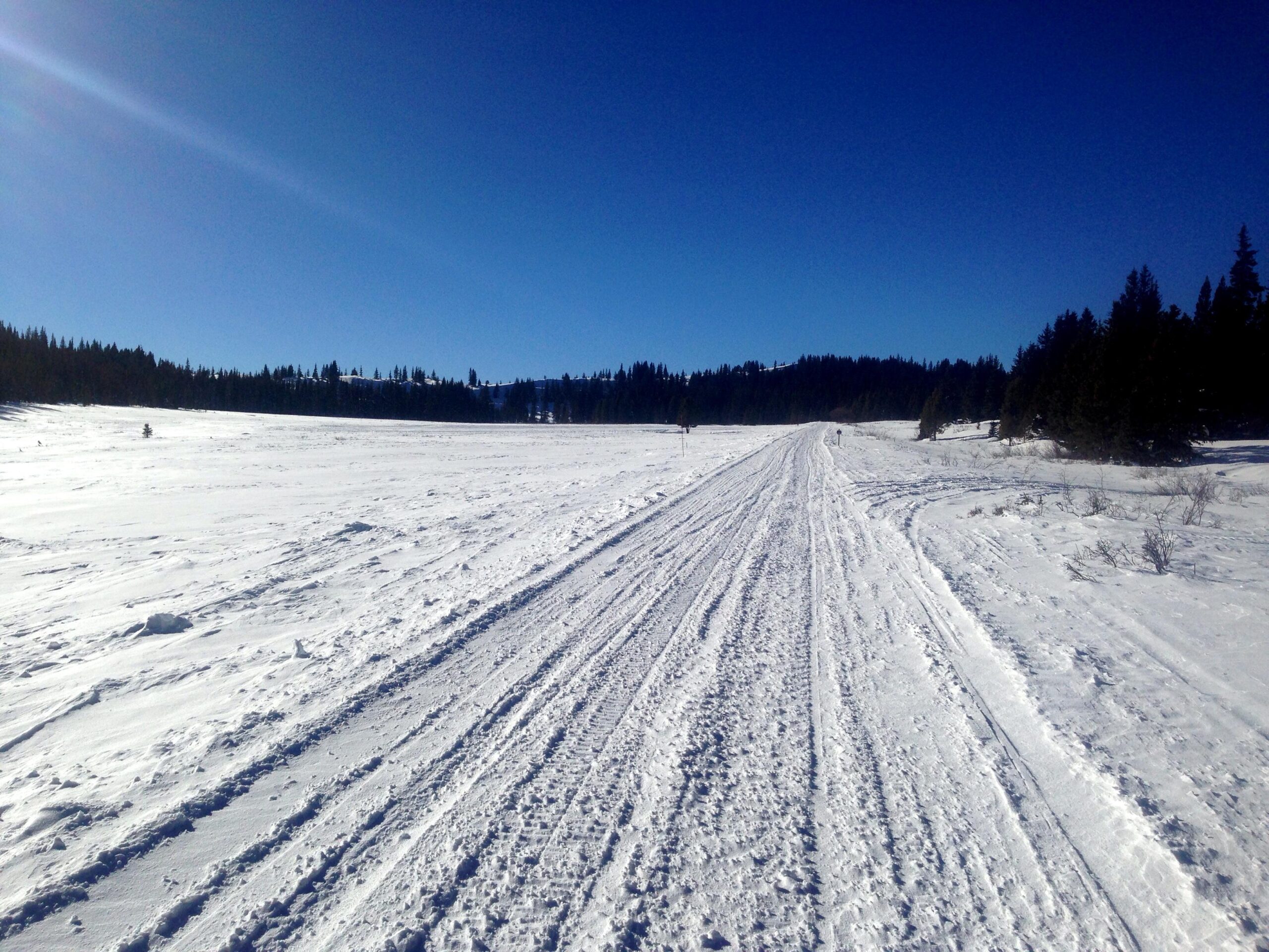A snowy landscape with a clear blue sky, featuring a snow-covered path leading into the distance, bordered by patches of forest in the background. The scene is bright and tranquil, showcasing a serene winter atmosphere. Marshall Pass Road / #200 / #203 / #243 mountain bike trail.