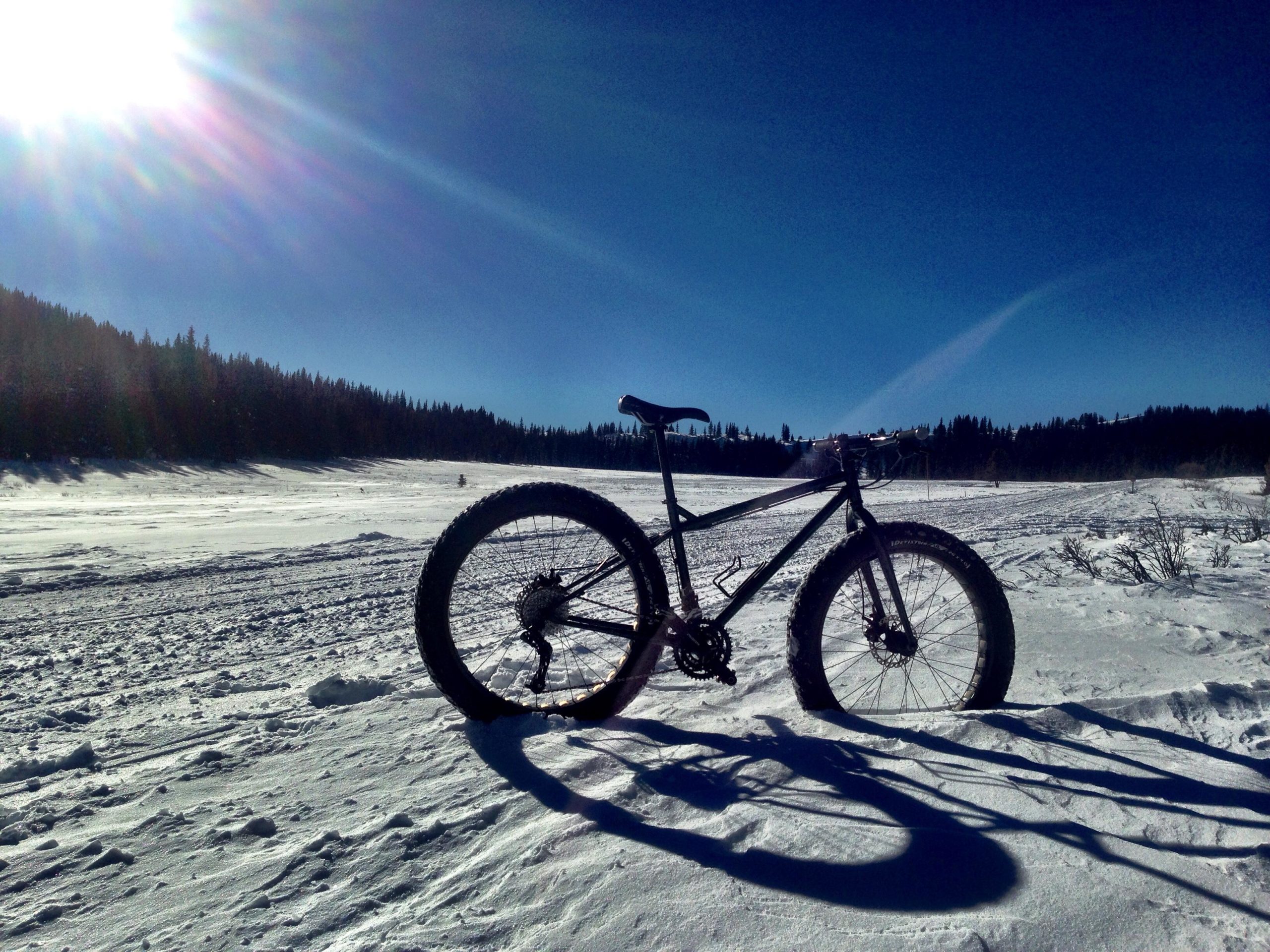 A black mountain bike with wide tires is positioned in a snowy landscape under a bright blue sky. The sun shines brightly in the top left corner, casting a long shadow of the bike onto the snow. Pine trees line the distant horizon, creating a serene winter scene. Marshall Pass Road / #200 / #203 / #243 mountain bike trail.