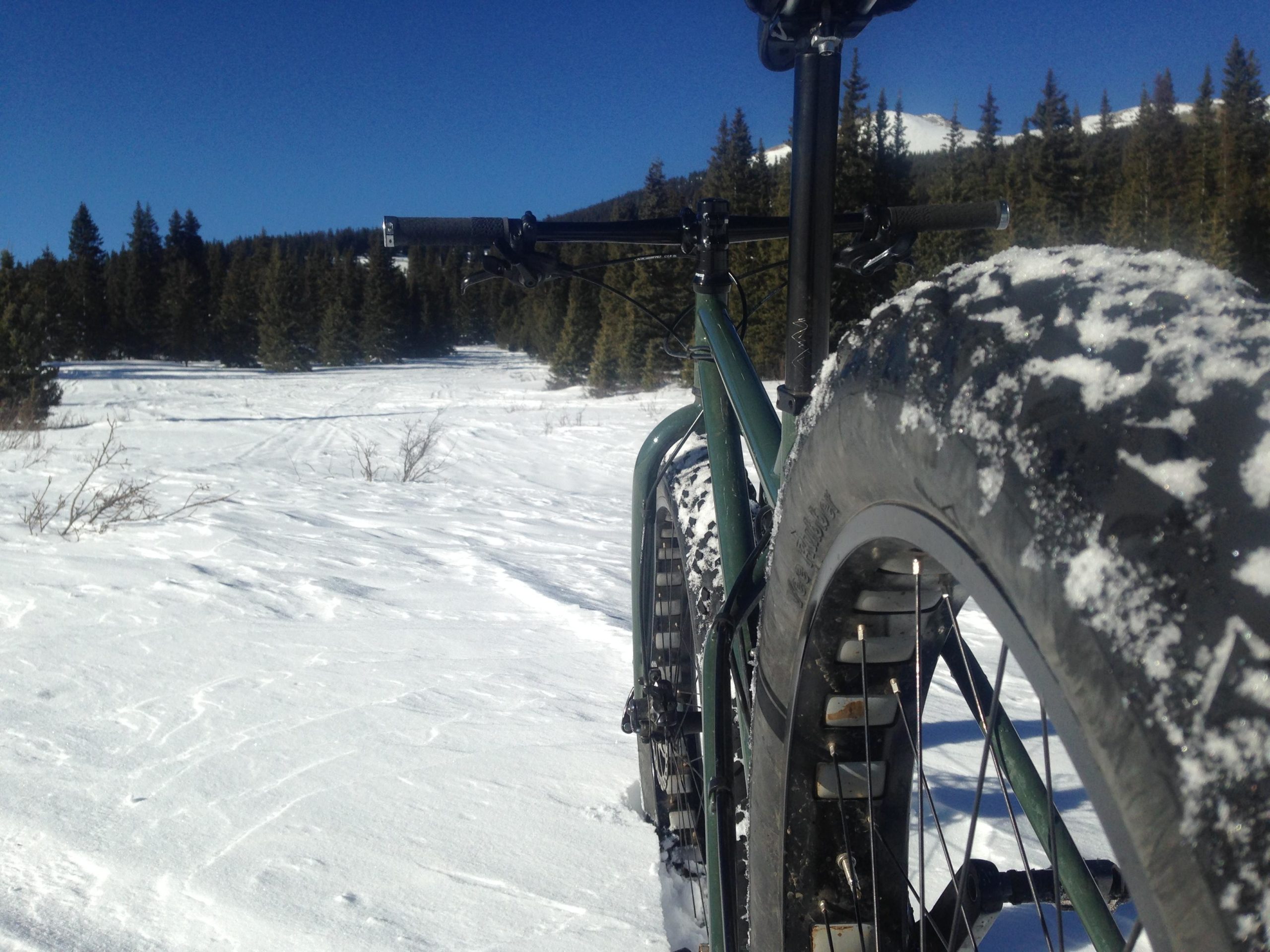 A close-up view of a snow-covered fat bike parked in a snowy landscape, with dense evergreen trees in the background and a clear blue sky above. The bike's large, wide tires are partially covered in snow, highlighting its suitability for winter riding. Marshall Pass Road / #200 / #203 / #243 mountain bike trail.