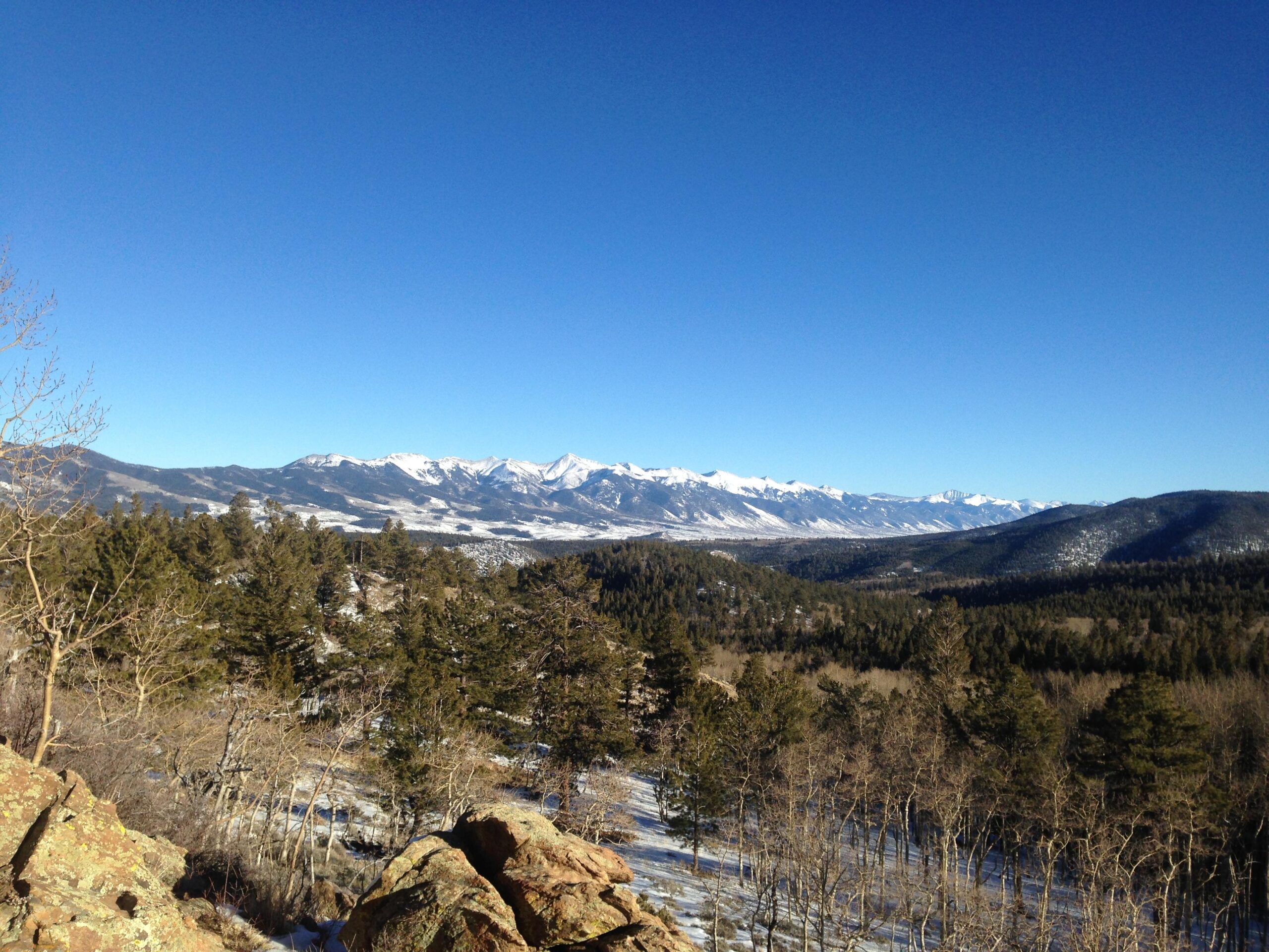 A panoramic view of snow-capped mountains against a clear blue sky, with dense forests and rocky terrain in the foreground. The landscape showcases a picturesque natural scene, highlighting the beauty of wilderness and mountainous regions. Marshall Pass Road / #200 / #203 / #243 mountain bike trail.