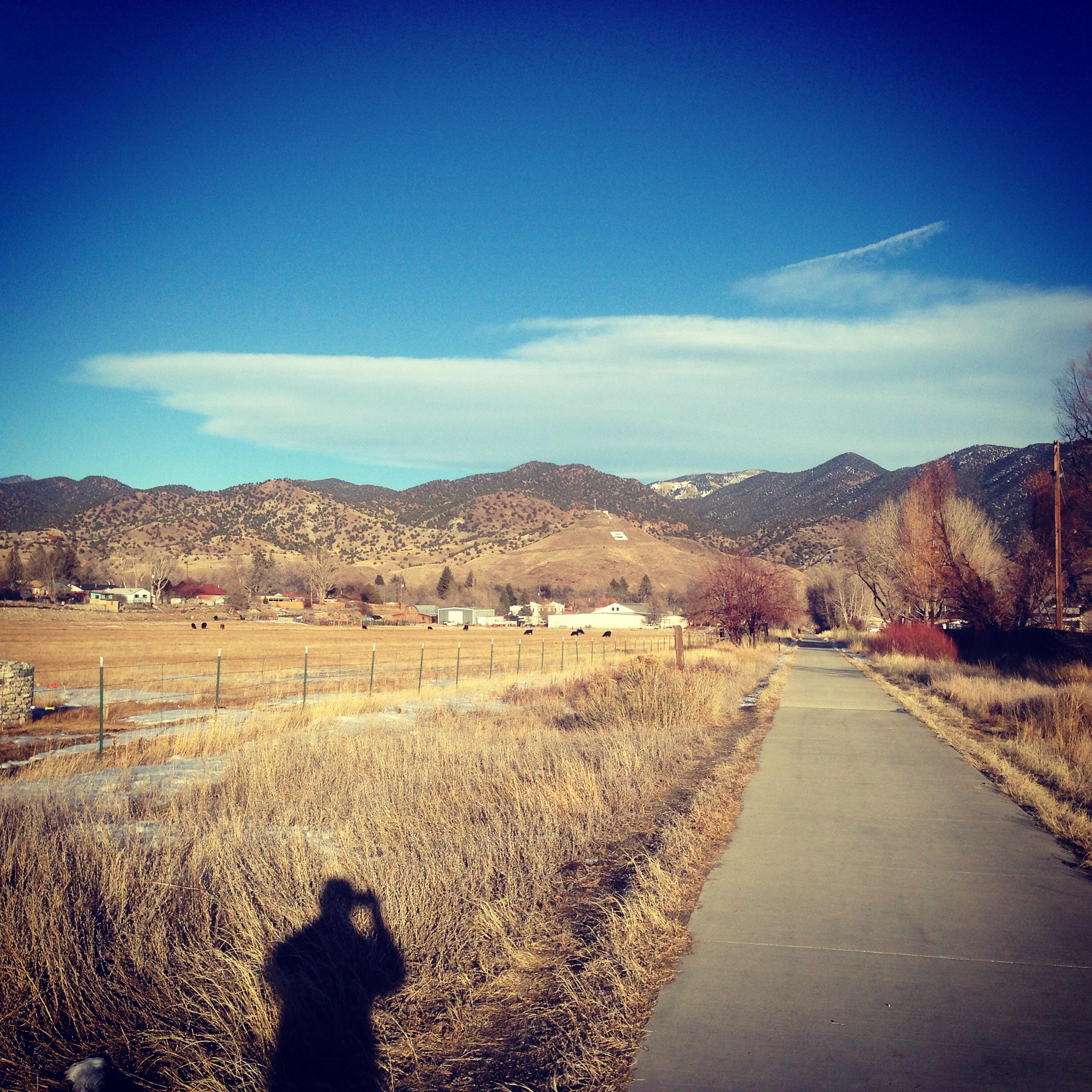 A scenic path lined with dry grass leads toward distant mountains under a clear blue sky. A shadow of a person is visible in the foreground, while small houses and a fence can be seen along the side of the path. Monarch Spur Trail mountain bike trail.