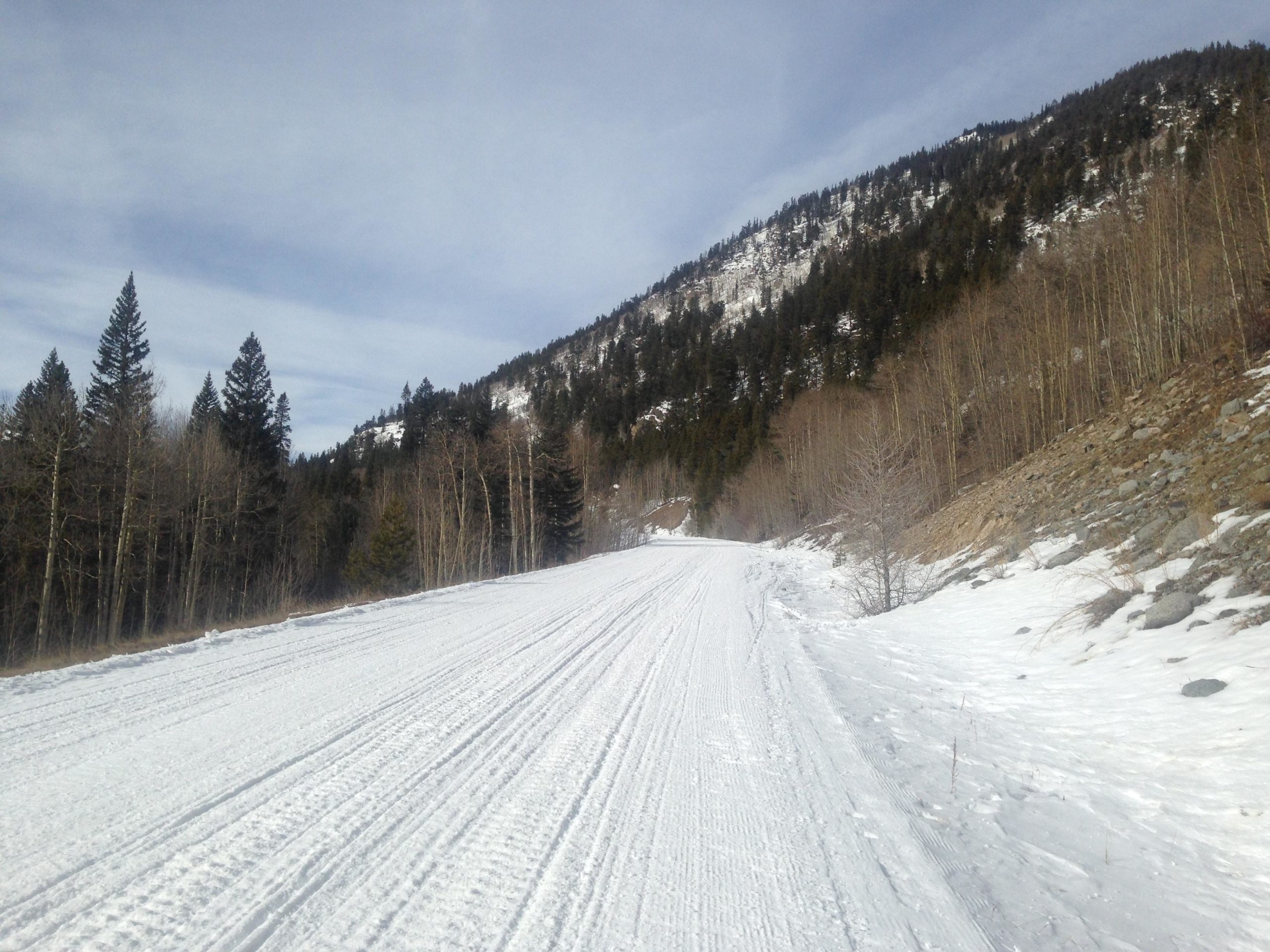 A snow-covered trail winding through a mountainous landscape, flanked by tall evergreen trees on the left and rocky terrain on the right. The sky above is partly cloudy, adding a serene atmosphere to the winter scene. Cottonwood Pass Road mountain bike trail.