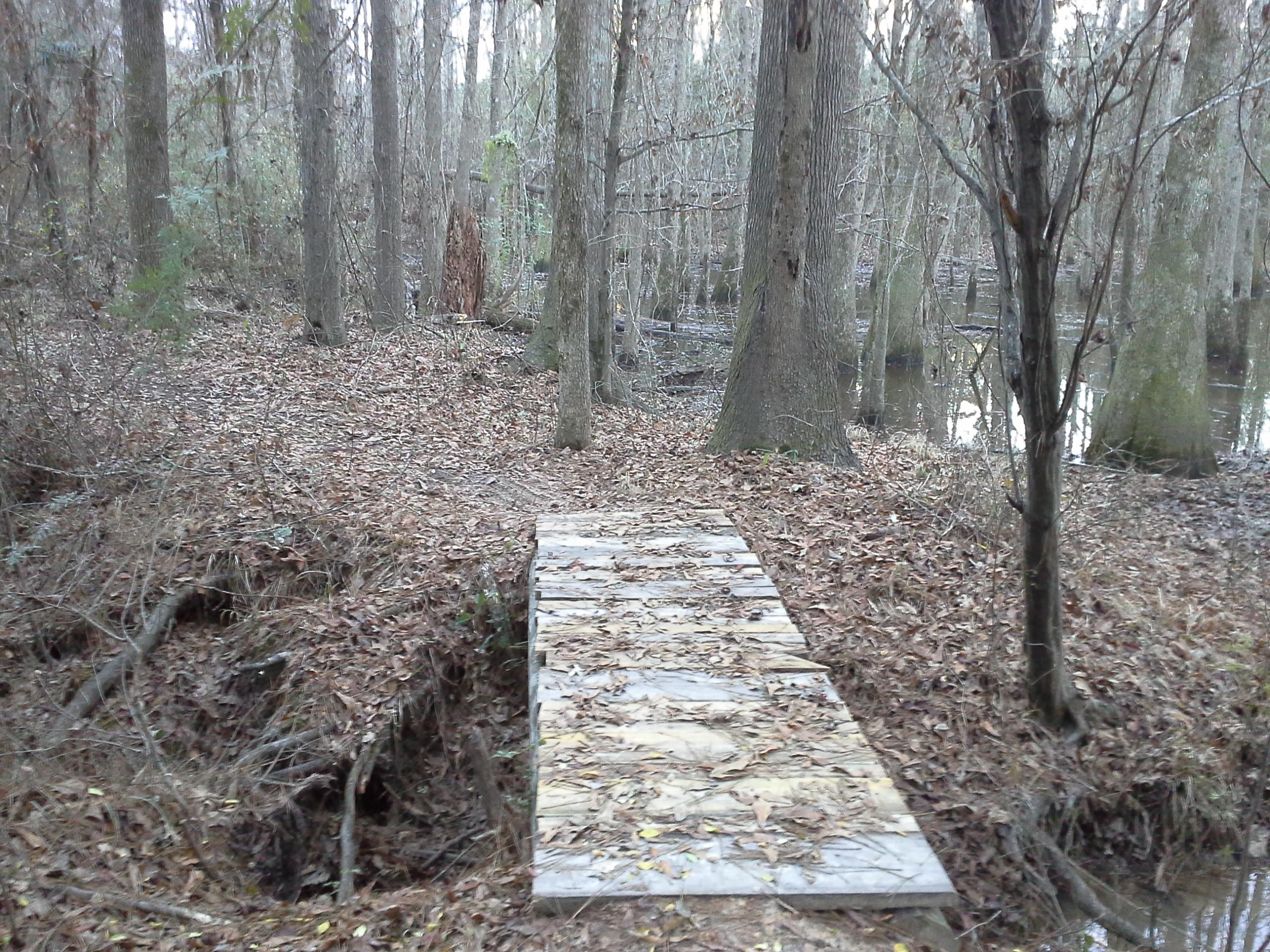 A narrow wooden bridge crossing over a small ditch in a wooded area, surrounded by trees and fallen leaves, with a partially visible water body in the background. Petal River Park mountain bike trail.