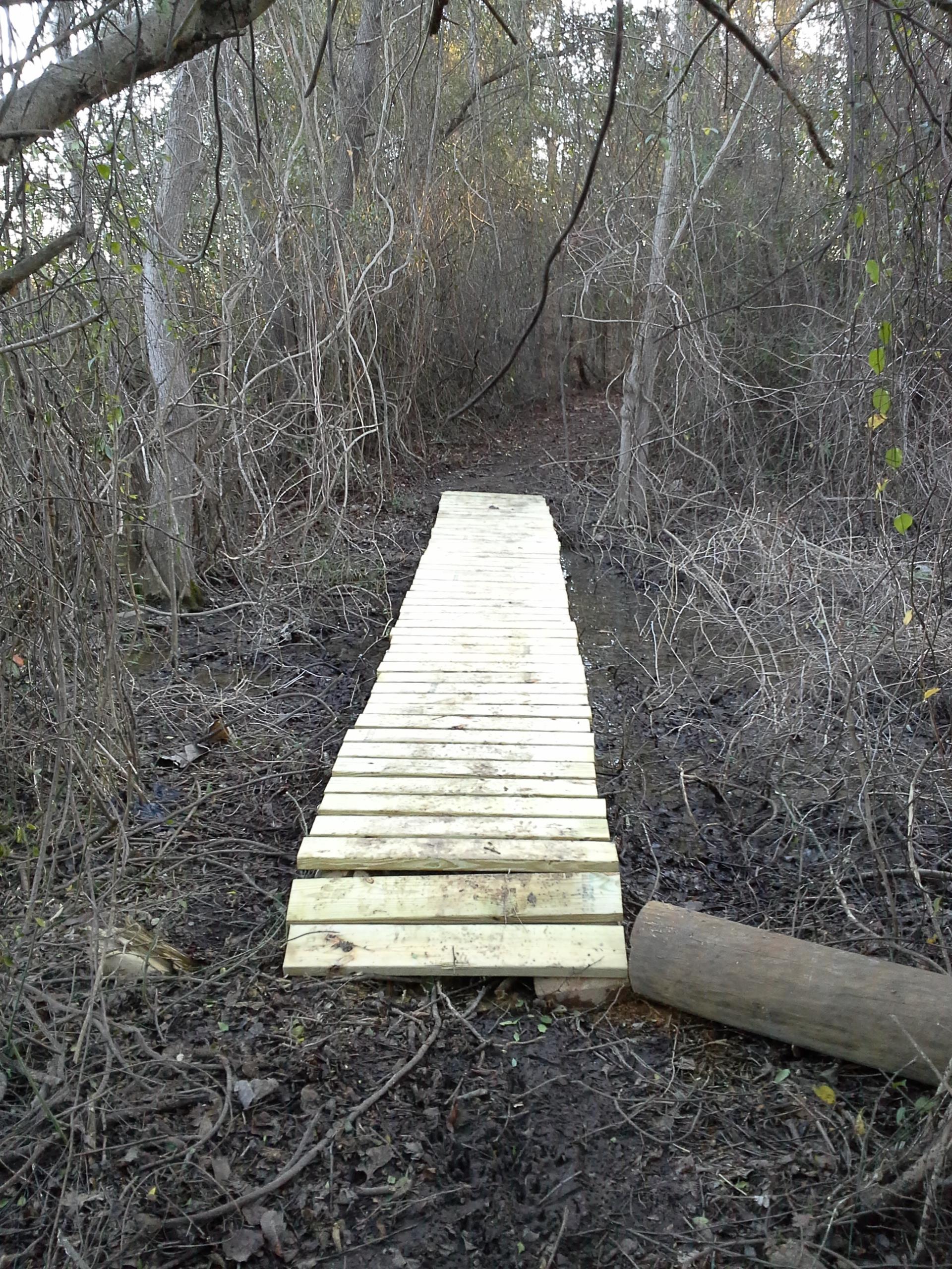 A narrow wooden plank path leading through a dense thicket of trees and underbrush, with some branches and vines visible. The path is slightly elevated above damp ground, suggesting it may cross a muddy area. Petal River Park mountain bike trail.