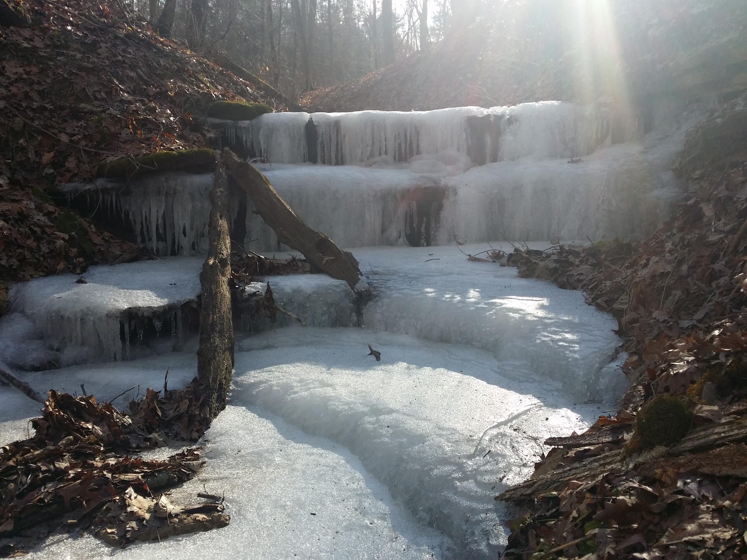 Frozen cascading water over rocky terrain, with icicles hanging from the edges and a layer of ice covering the ground, surrounded by brown leaves and sunlight filtering through the trees in the background. Versailles State Park mountain bike trail.