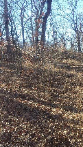 A wooded landscape depicting bare trees and fallen leaves on the ground, with sunlight filtering through the branches. The scene captures a natural area during a cooler season, highlighting a path that winds through the vegetation. Thunderbird Lake Clear Bay mountain bike trail.