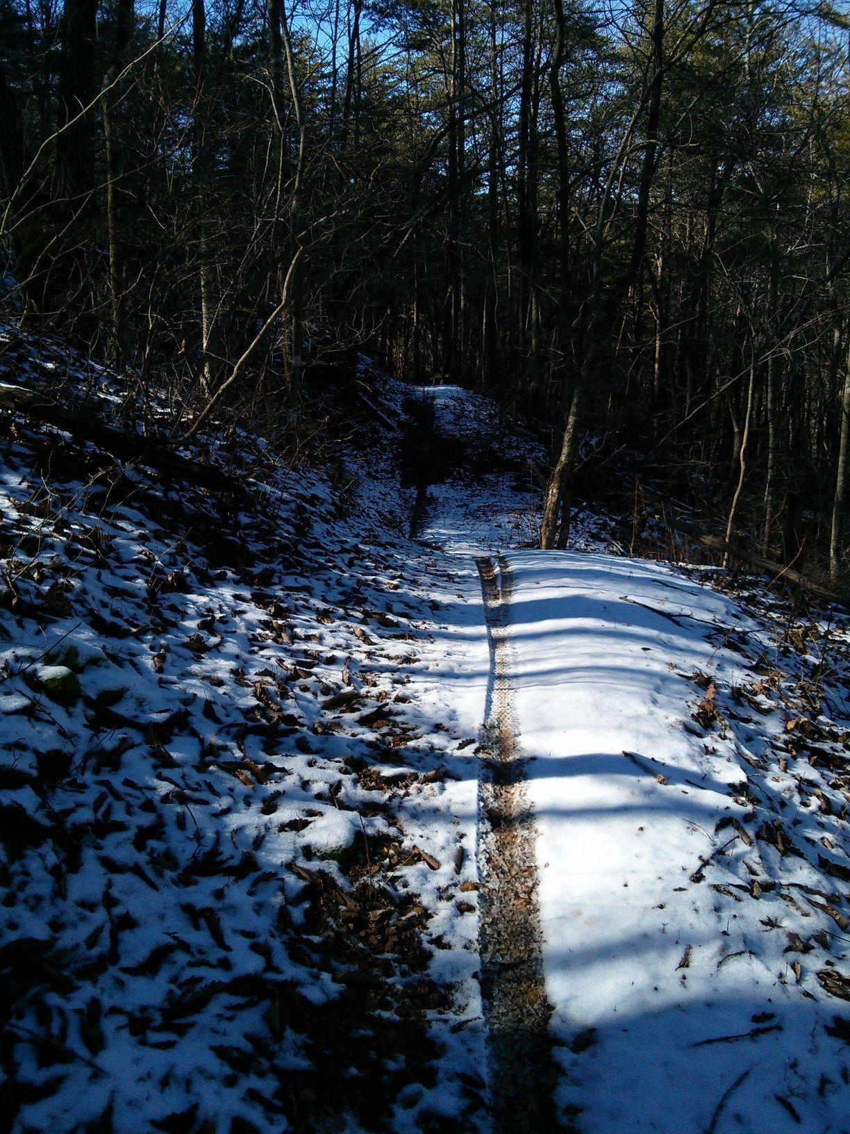 A snow-covered hiking trail winding through a forest with bare trees and scattered leaves; sunlight casts shadows on the path. Five Points mountain bike trail.