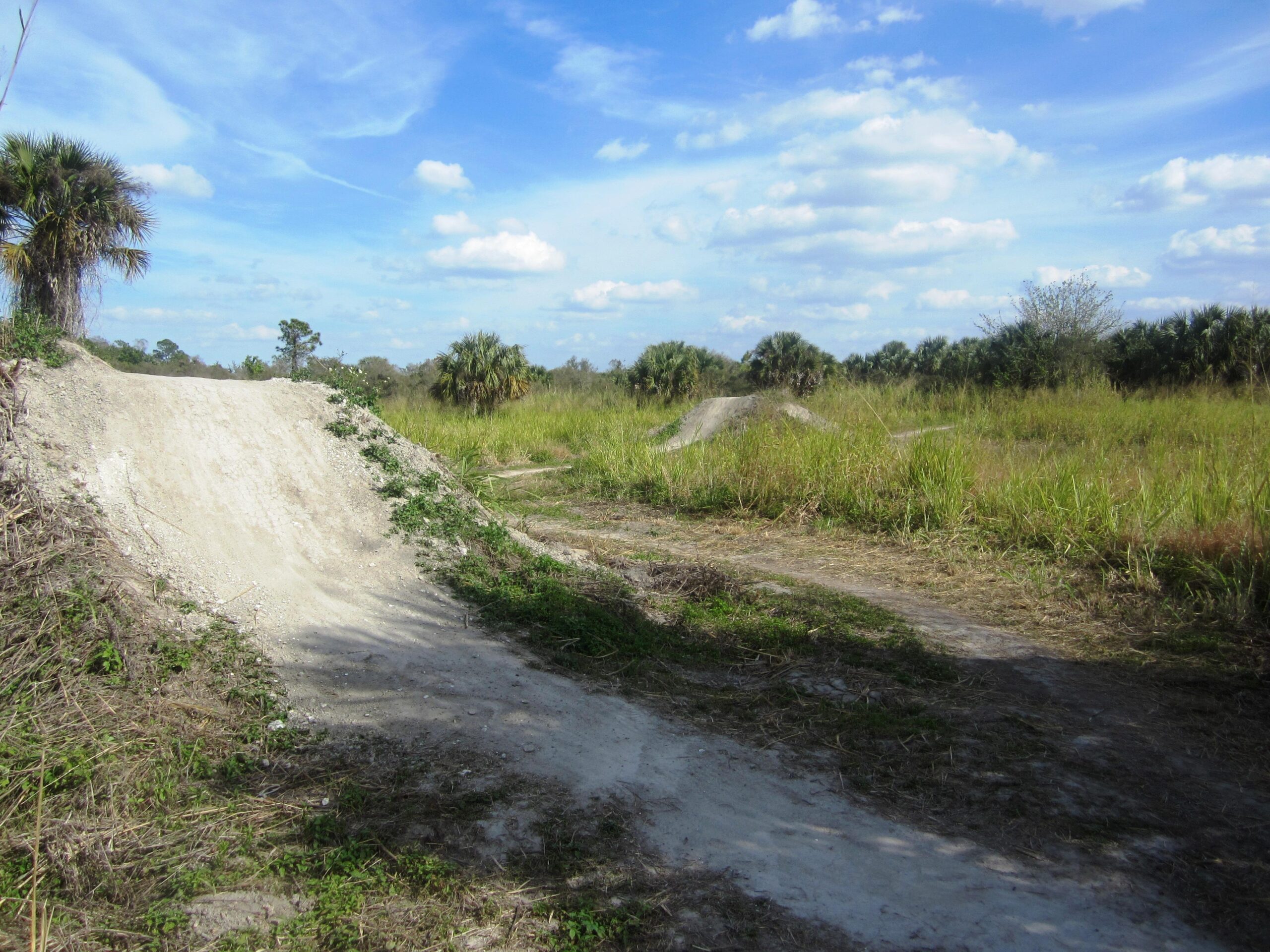 A dirt path forks through a grassy area, with a small dirt ramp on the left side and patches of greenery. The sky is blue with scattered clouds, and palm trees are visible in the background. Caloosahatchee Regional Park mountain bike trail.