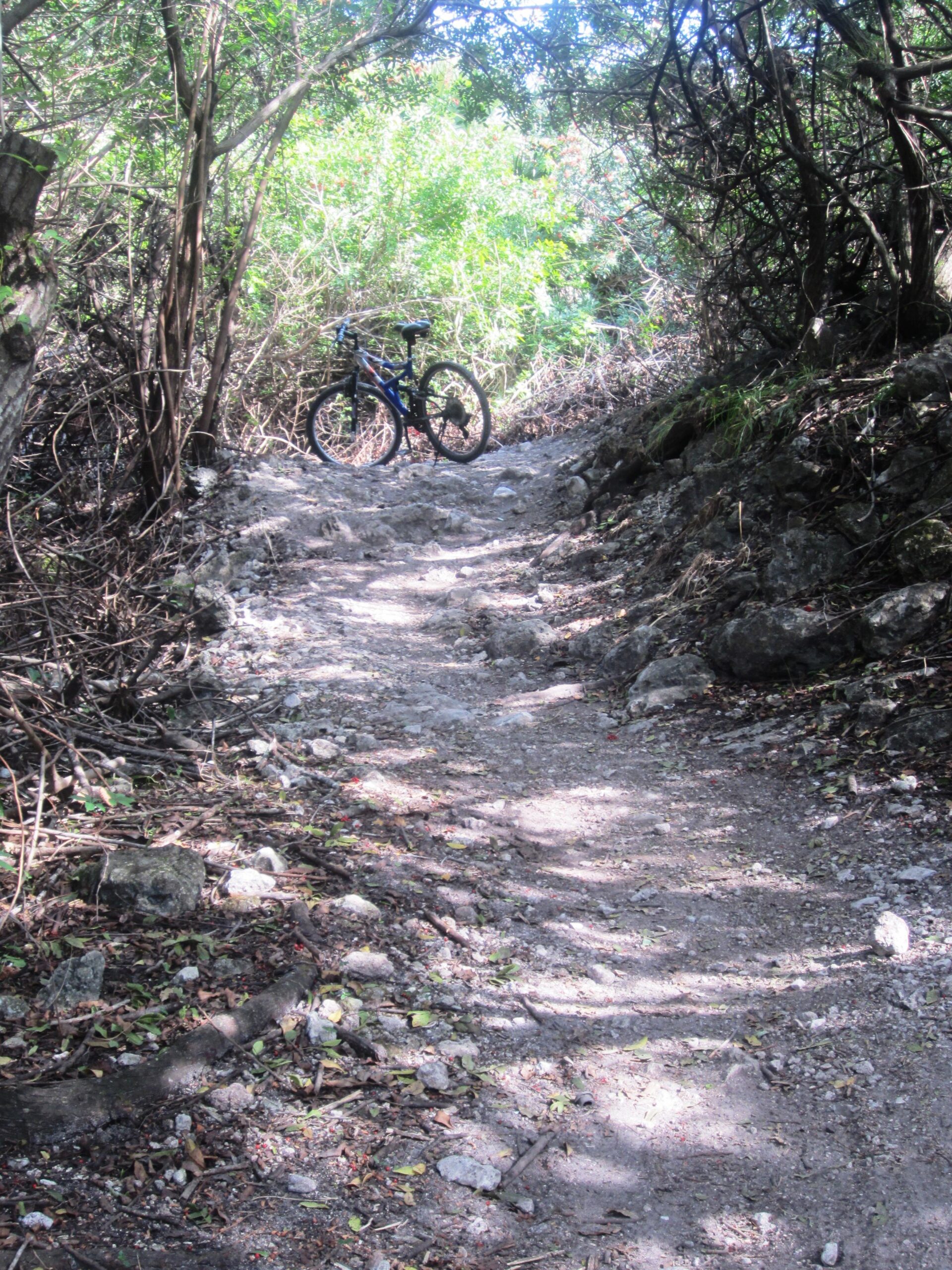A rocky, uneven dirt path winding through dense greenery, with a bicycle resting against a tree on the side. Sunlight filters through the foliage, casting shadows on the ground. Caloosahatchee Regional Park mountain bike trail.