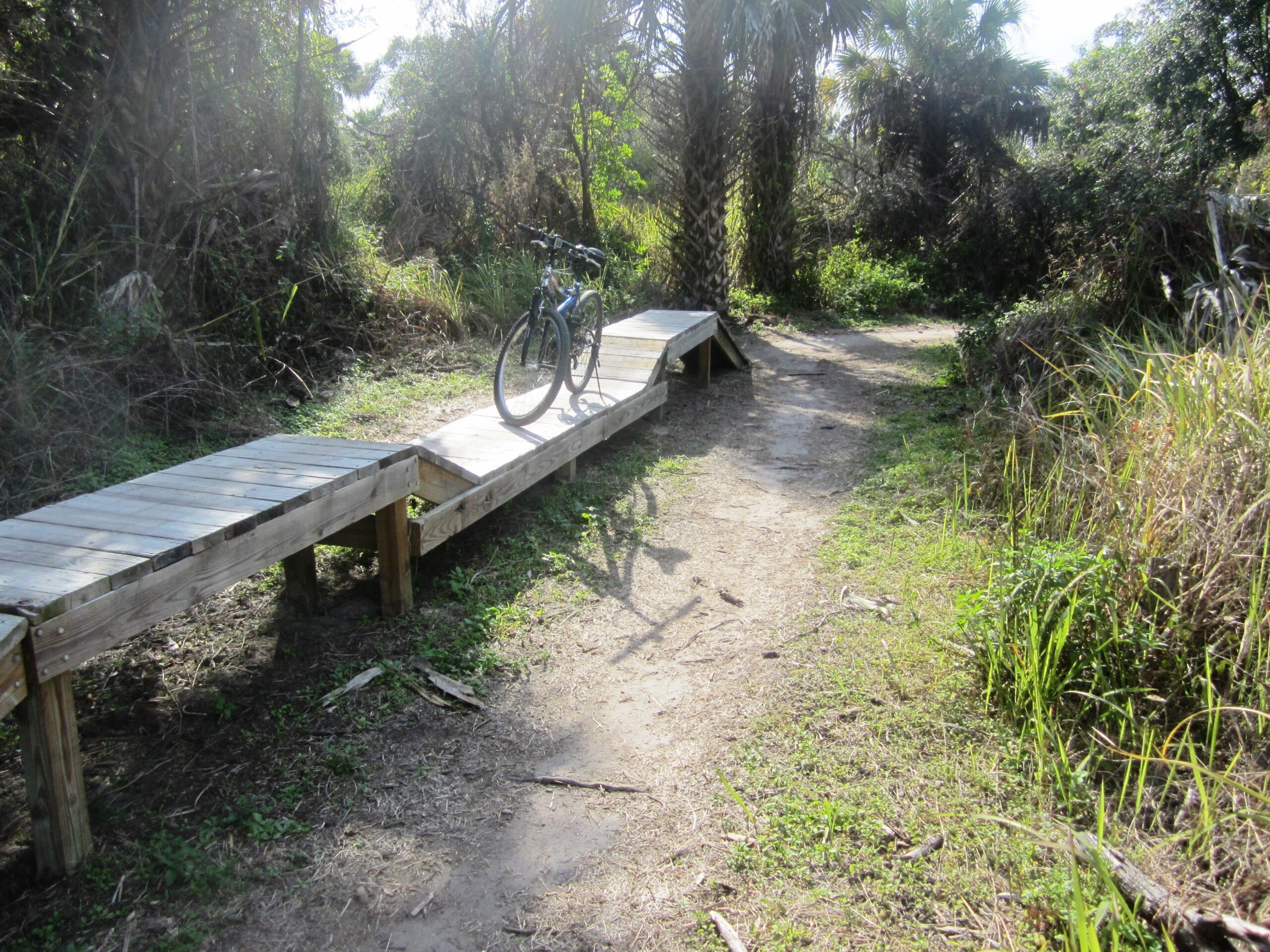 A wooden boardwalk leading through a natural trail with a bicycle resting on it. The area is surrounded by tall grasses and palm trees, creating a serene outdoor setting. Caloosahatchee Regional Park mountain bike trail.