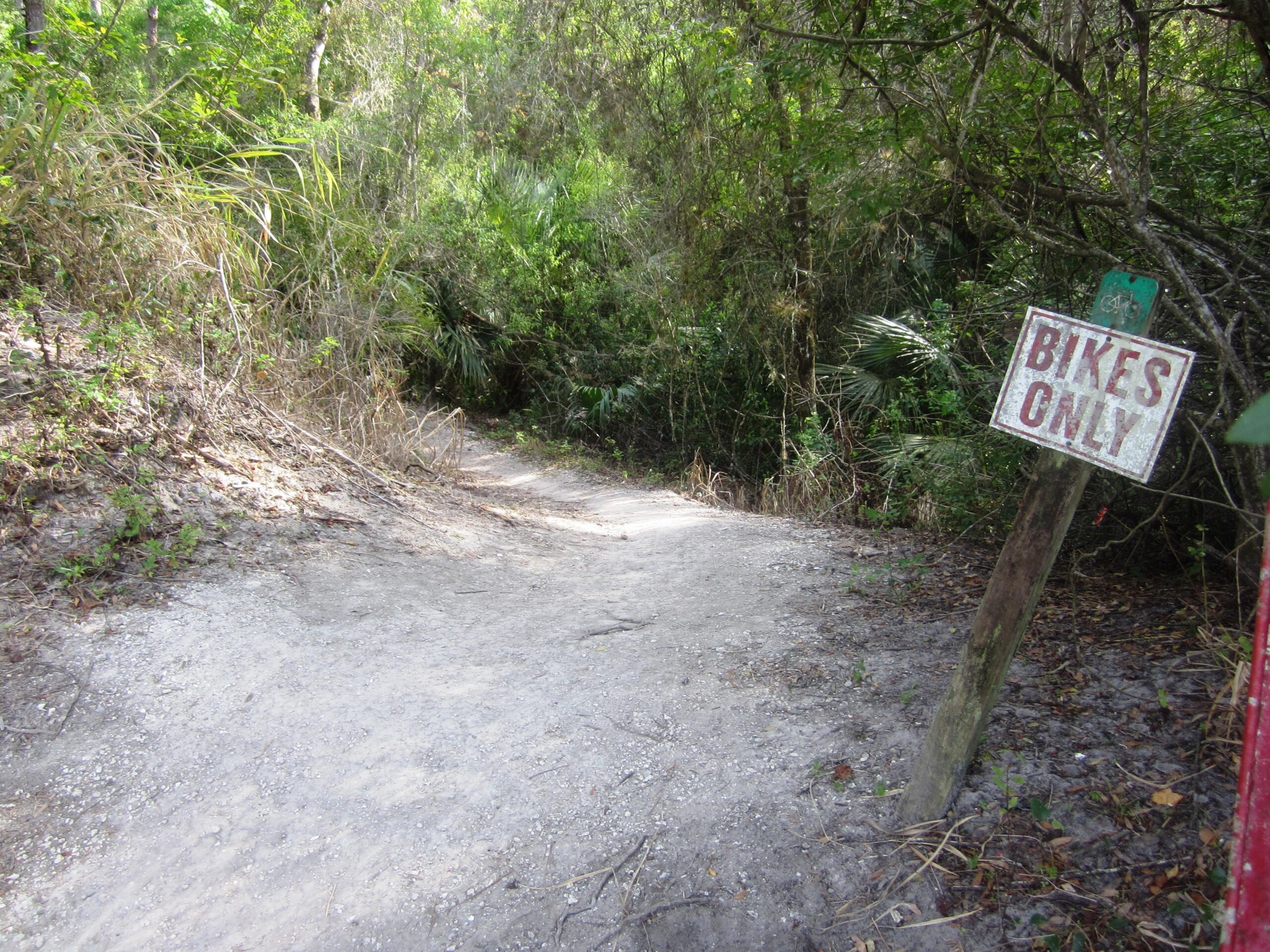 A dirt trail surrounded by lush greenery, featuring a worn path that leads into the woods. A weathered sign on the right side of the trail indicates "BIKES ONLY." Caloosahatchee Regional Park mountain bike trail.