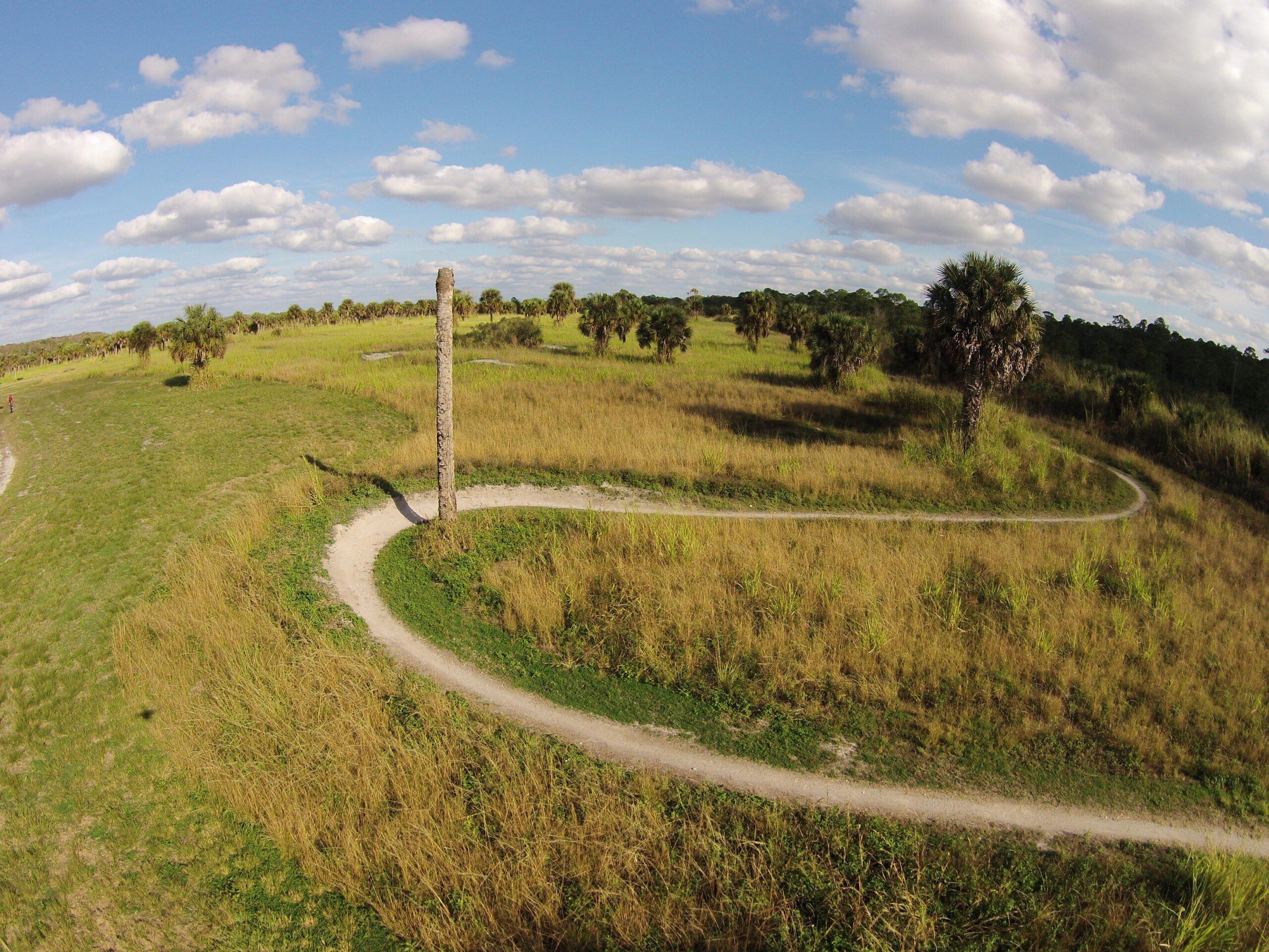 A scenic view of a grassy landscape featuring a winding dirt path that curves around a tall, cylindrical structure. The area is dotted with palm trees and lush greenery under a blue sky filled with fluffy white clouds.  Caloosahatchee Regional Park mountain bike trail.