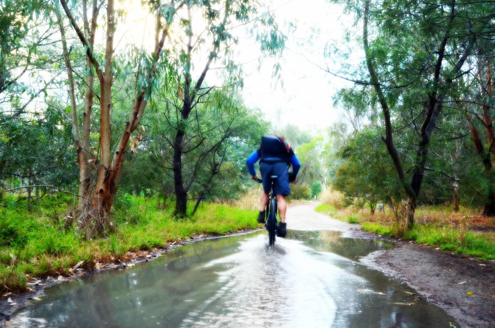 A cyclist riding along a tree-lined path after rain, with puddles reflecting the surroundings. The scene features lush greenery and the soft glow of light filtering through the trees, creating a tranquil atmosphere. Yarra Trails mountain bike trail.