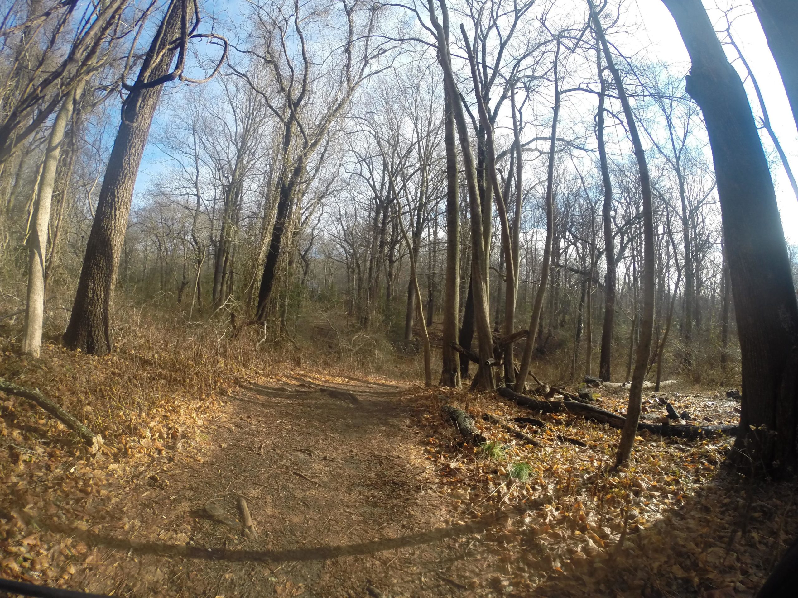 A winding dirt path through a forest with bare trees, scattered leaves on the ground, and patches of light filtering through the branches under a blue sky. Huber Woods mountain bike trail.