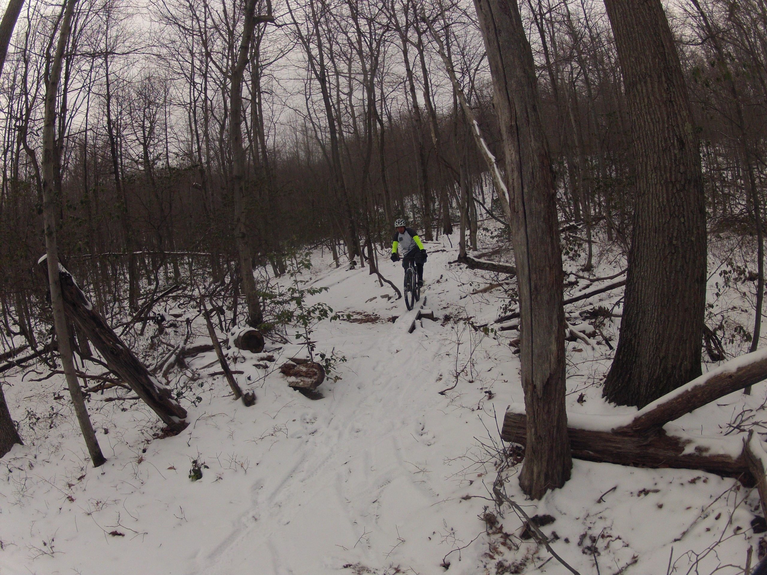 Two mountain bikers navigate a snow-covered trail through a sparse forest with bare trees and fallen logs. The path is slightly obscured by snow, indicating winter conditions. Frederick Watershed mountain bike trail.
