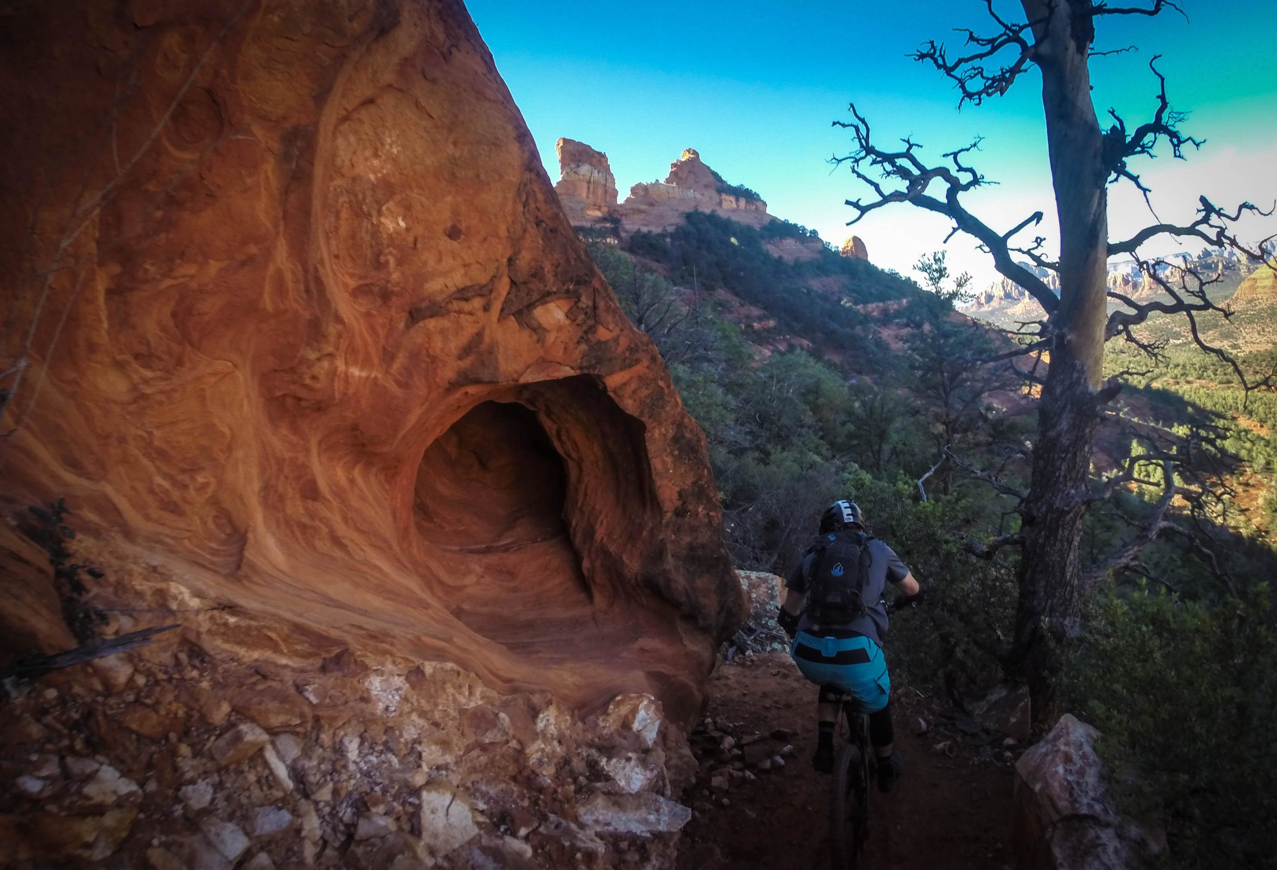 A mountain biker riding along a narrow trail, with a large, smooth, orange rock formation and a tunnel-like opening to the side. The scene is set in a vibrant landscape featuring steep, rugged hills and a clear blue sky. Sparse trees are visible, with one distinctive, twisted tree in the foreground. Hangover mountain bike trail.