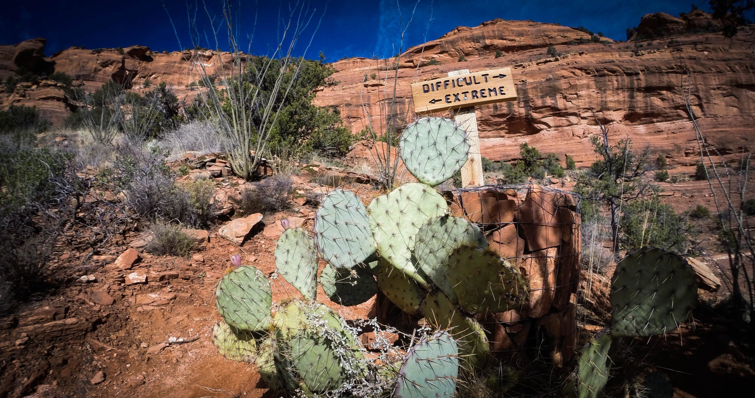 A rocky trail with a wooden sign indicating "Difficult" and "Extreme" directions. In the foreground, there are several prickly pear cactus plants, and the backdrop features red rock formations and sparse vegetation under a clear blue sky. Mescal Trail mountain bike trail.