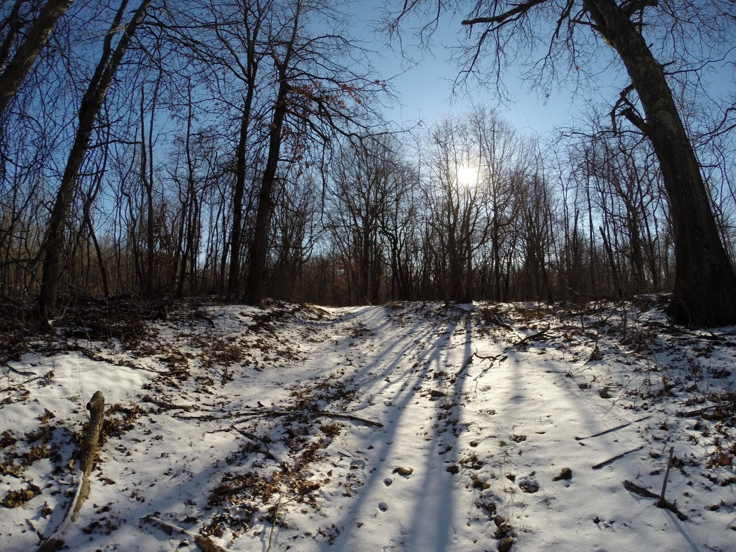 A snow-covered path winding through a forest with bare trees, casting long shadows under a clear blue sky. The sun is visible in the background, illuminating the scene. Long Pond mountain bike trail.