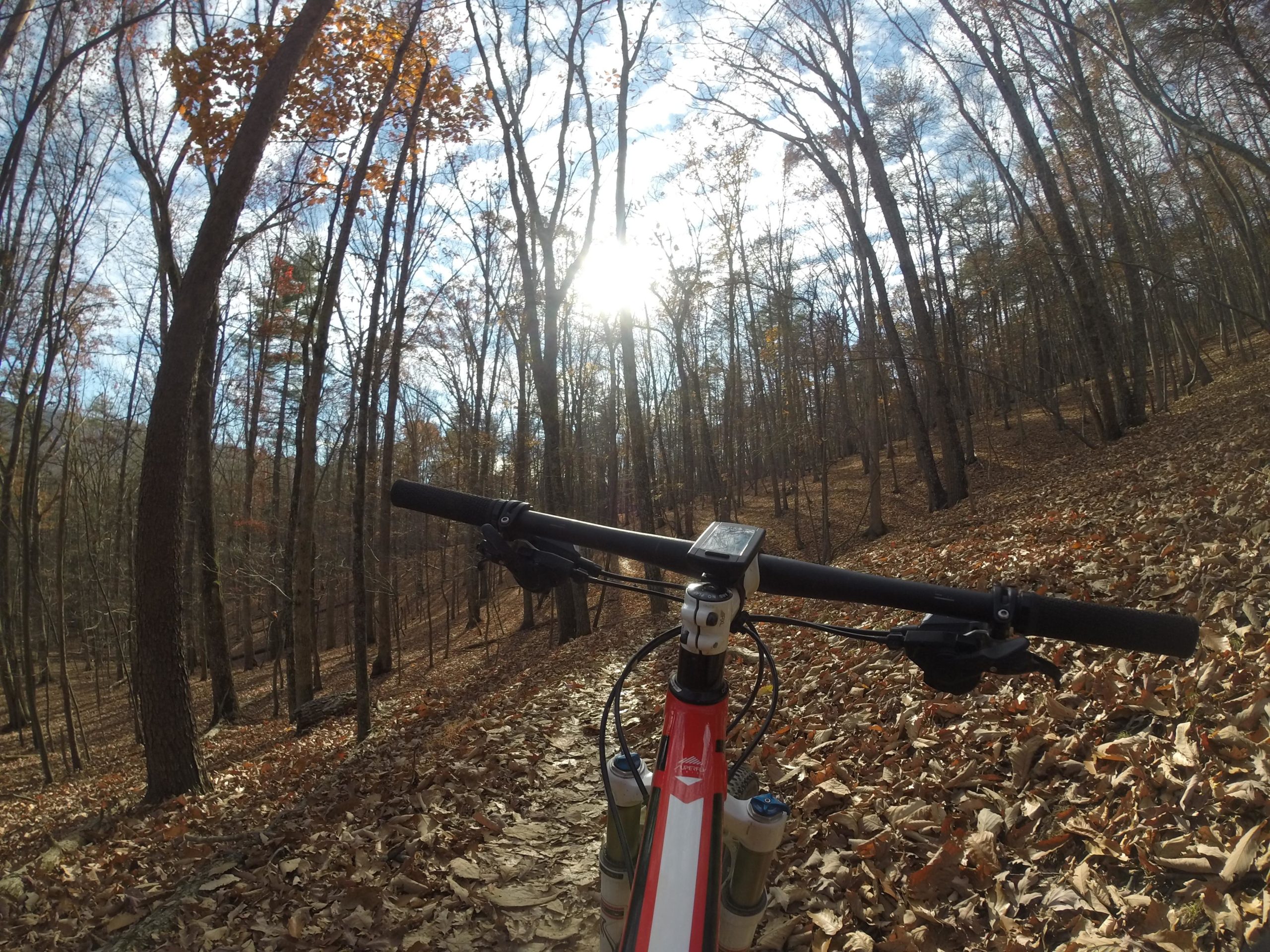 Mountain bike handlebars are visible in the foreground, with a forest path covered in fallen leaves stretching ahead. Tall trees surround the path, and sunlight filters through the branches, creating a peaceful autumn scene. The sky is partly cloudy, enhancing the natural beauty of the landscape. Carvin's Cove Trail system mountain bike trail.