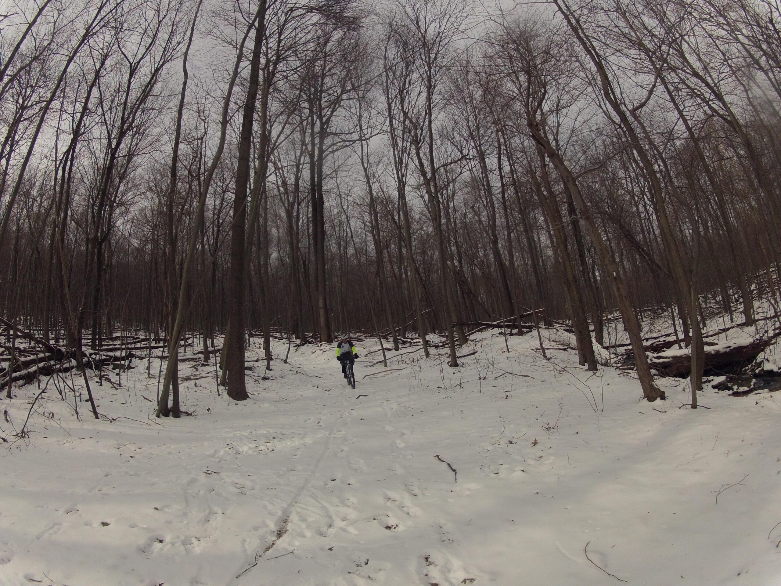 A cyclist riding on a snowy trail in a forest with bare trees, surrounded by fallen branches and a cloudy sky overhead. Frederick Watershed mountain bike trail.