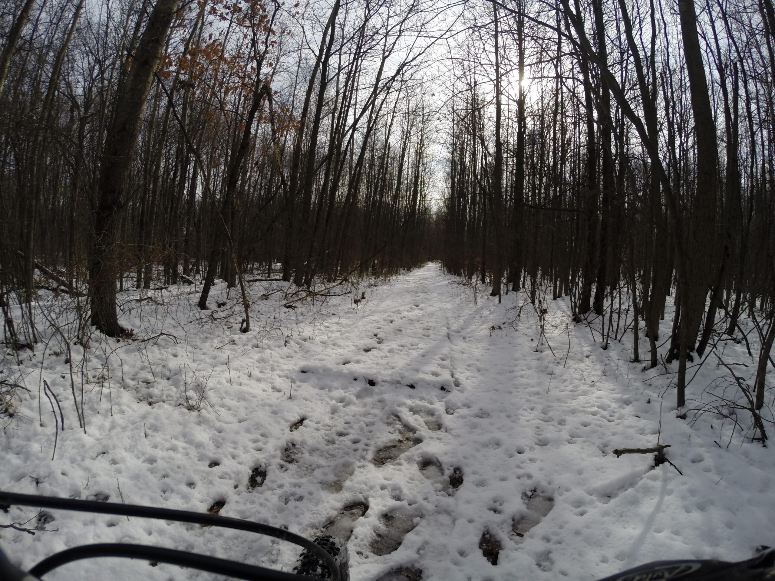 A snow-covered trail winding through a winter forest, surrounded by leafless trees and patches of snow on the ground. The sunlight peeks through the branches, creating a serene and tranquil atmosphere. Trails seperated by streets mountain bike trail.