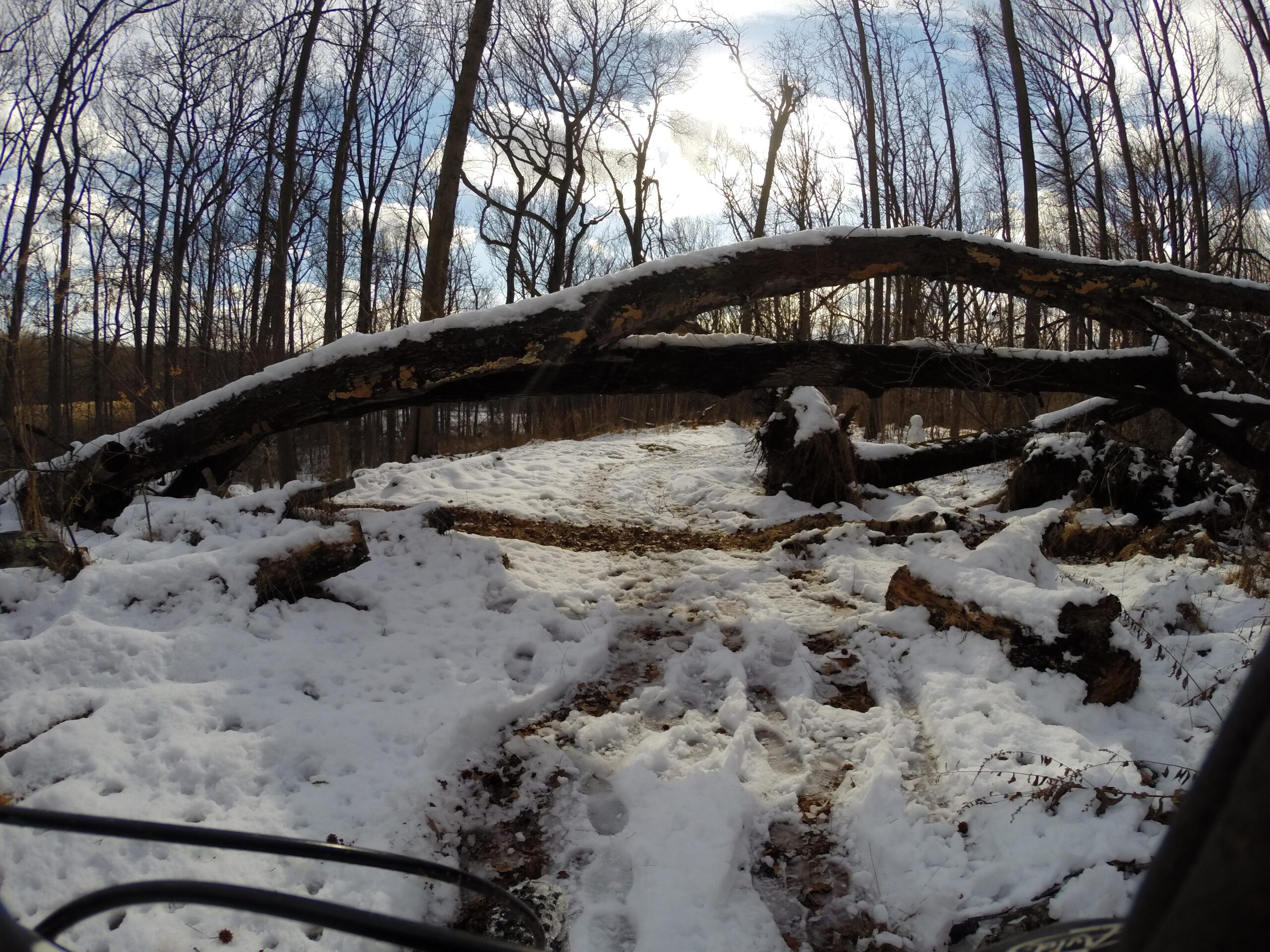 A snowy forest scene showing a fallen tree across a trail. The ground is covered in snow, with visible footprints and tire tracks leading through the woods. Leafless trees are visible in the background under a partly cloudy sky. Wolfes Pond park mountain bike trail.