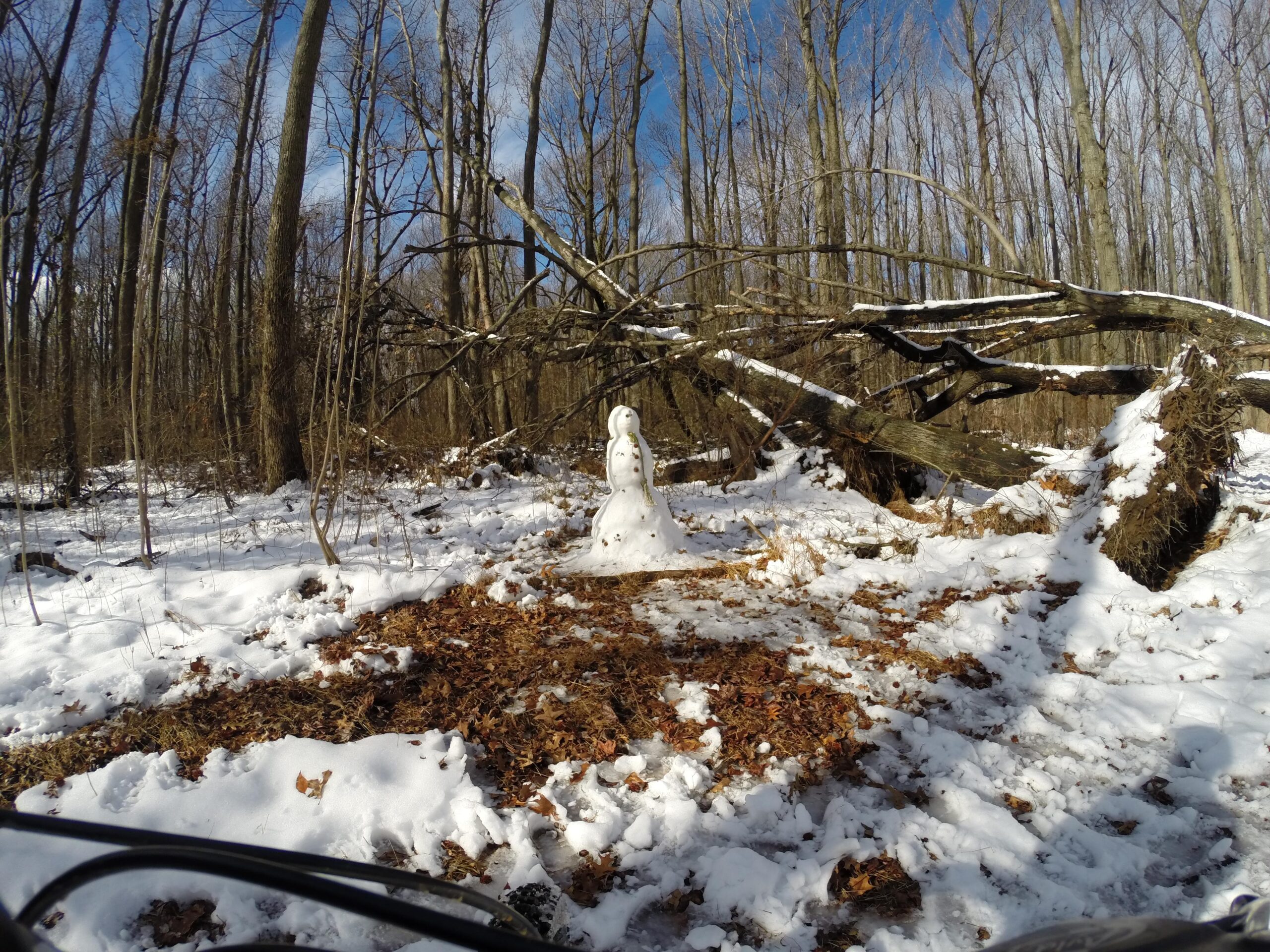 A snowman standing in a snowy forest setting, surrounded by fallen branches and a mixture of snow and autumn leaves on the ground. The trees in the background are bare, indicating winter, under a partly cloudy blue sky. Wolfes Pond park mountain bike trail.