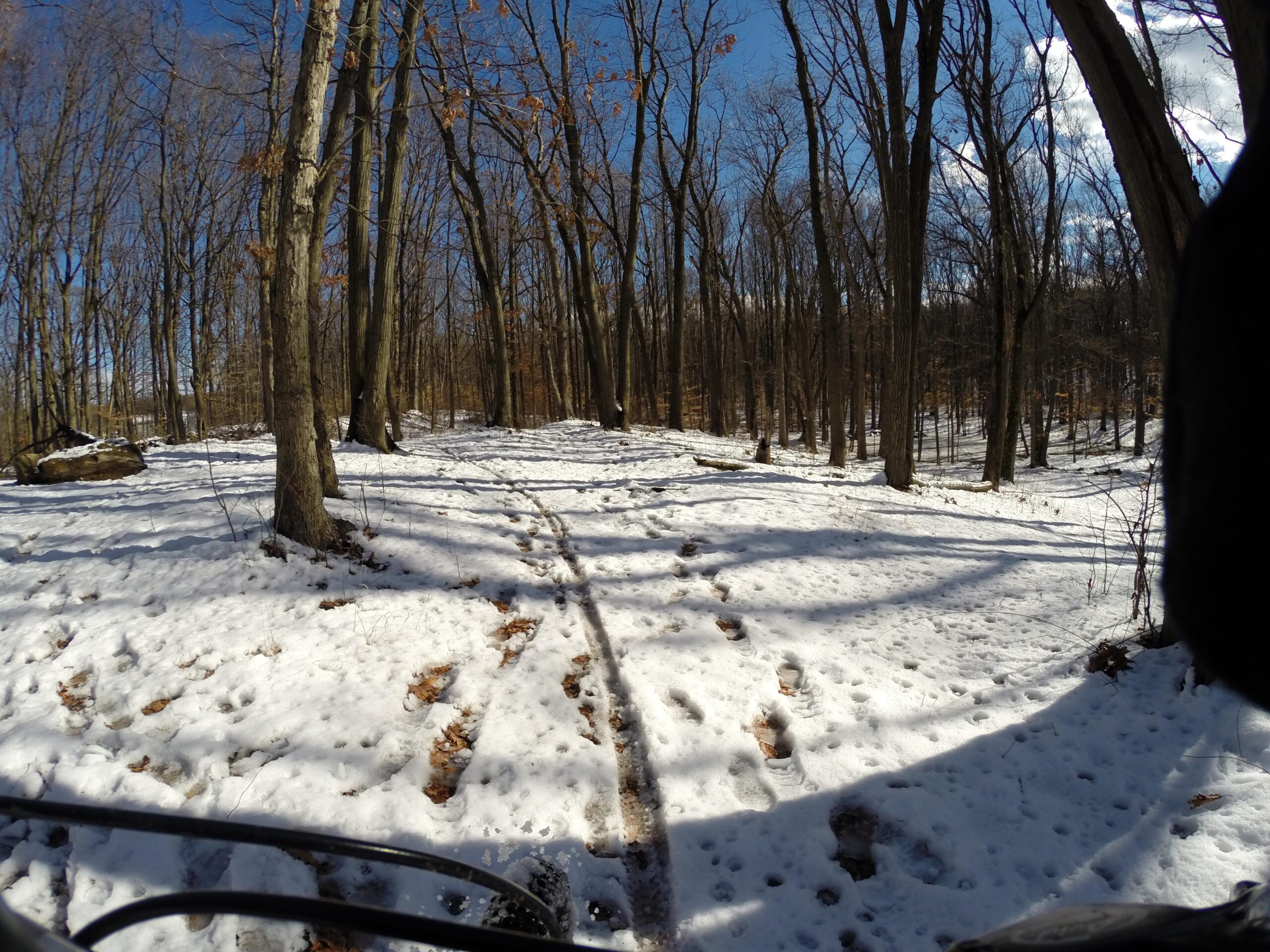 A snowy forest path winding through bare trees, with sunlight filtering through the branches, creating a serene winter landscape. Snow covers the ground, with visible tracks from foot traffic and a few bare patches revealing the earth beneath. Wolfes Pond park mountain bike trail.